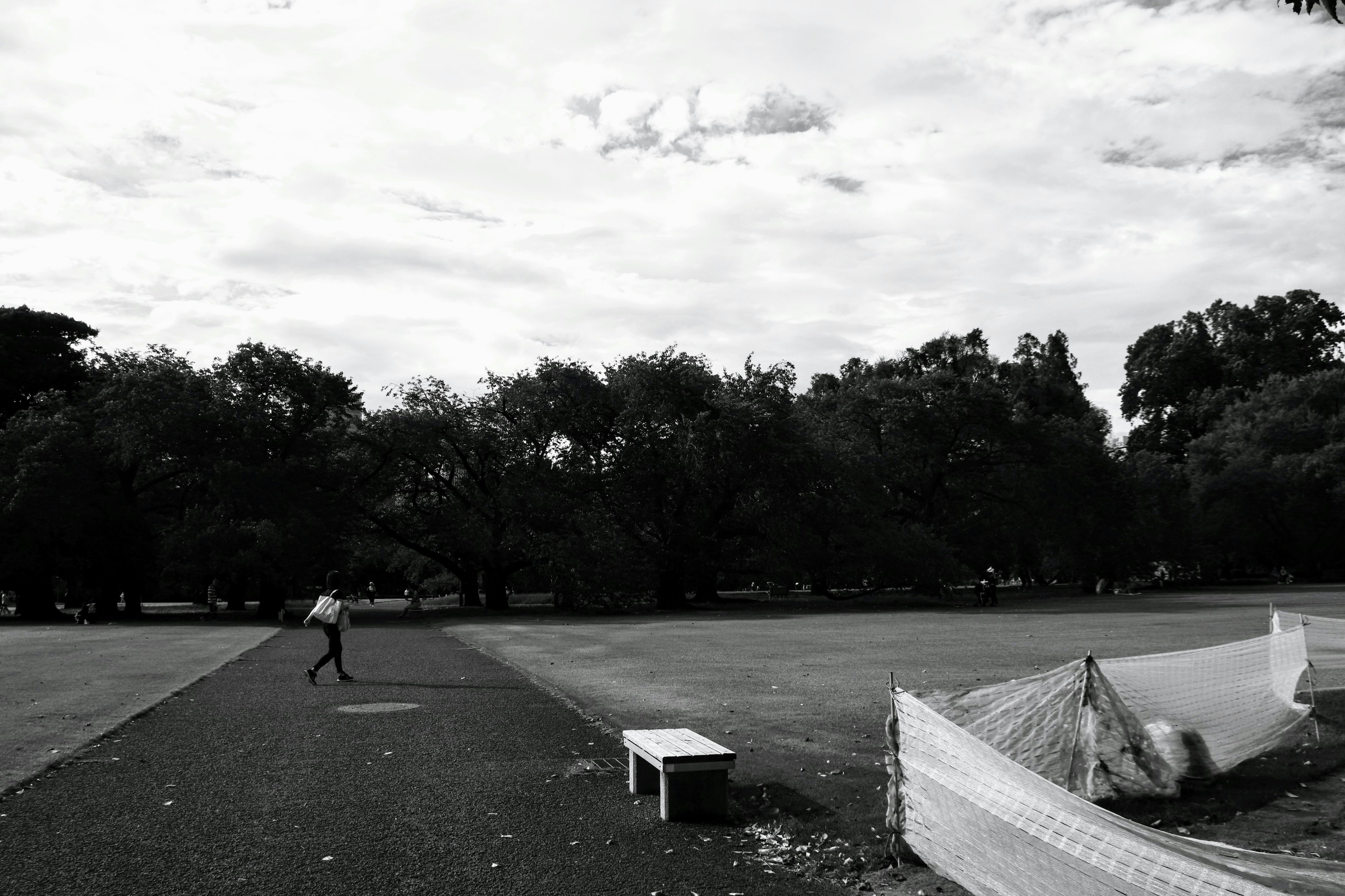 Escena de parque en blanco y negro con una persona corriendo a lo lejos, árboles y nubes