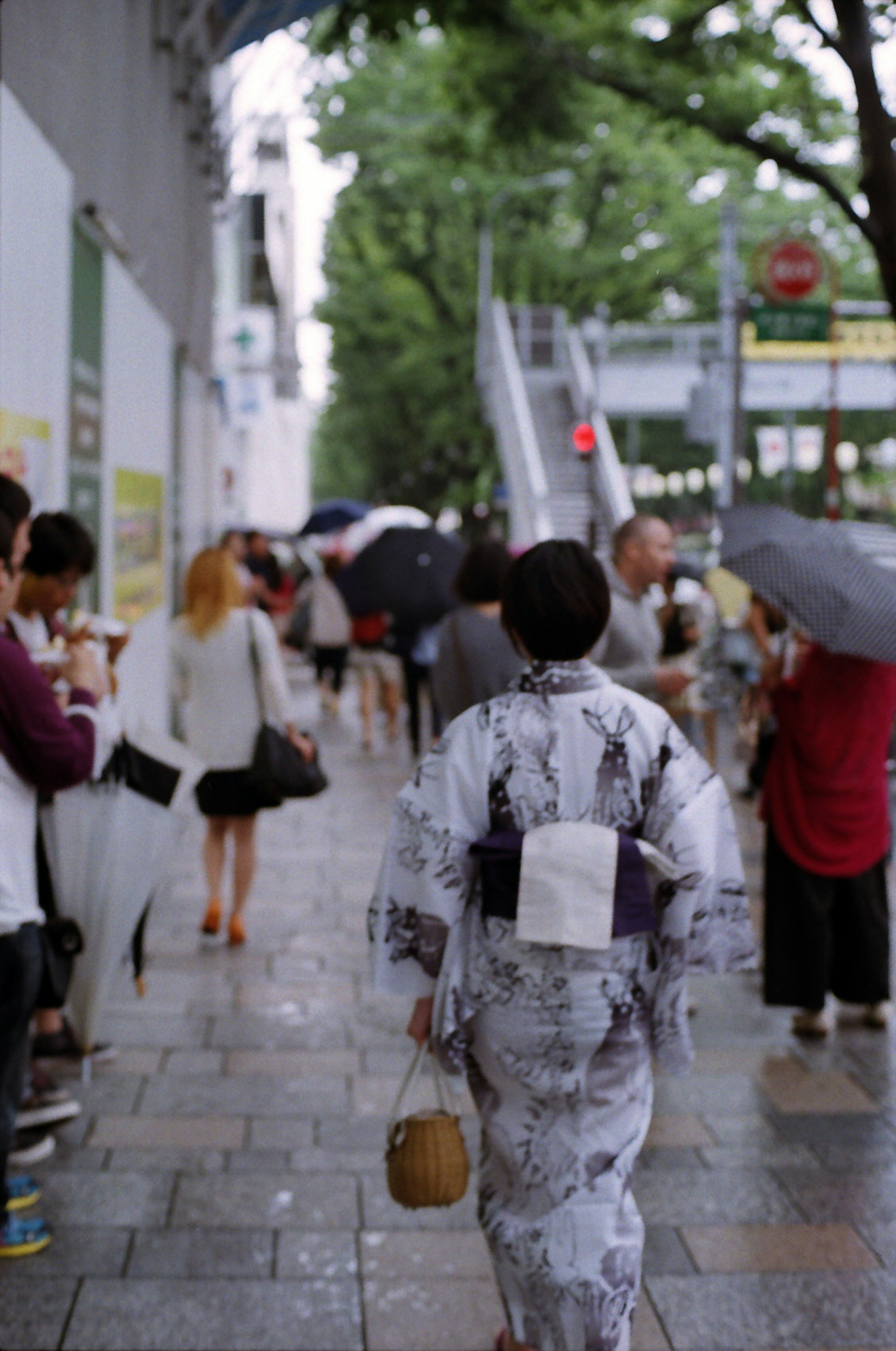 Một người phụ nữ trong trang phục kimono đi bộ qua đám đông trong ngày mưa