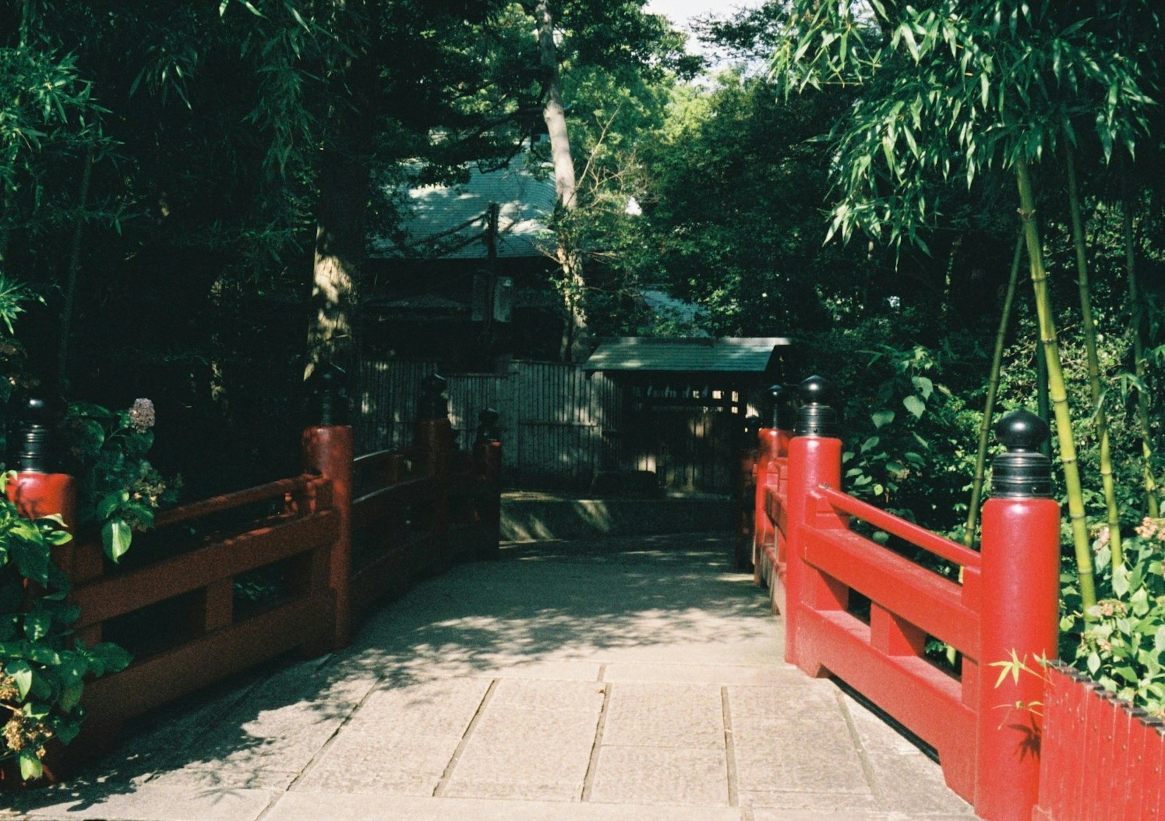 赤い橋がある緑豊かな庭園の風景