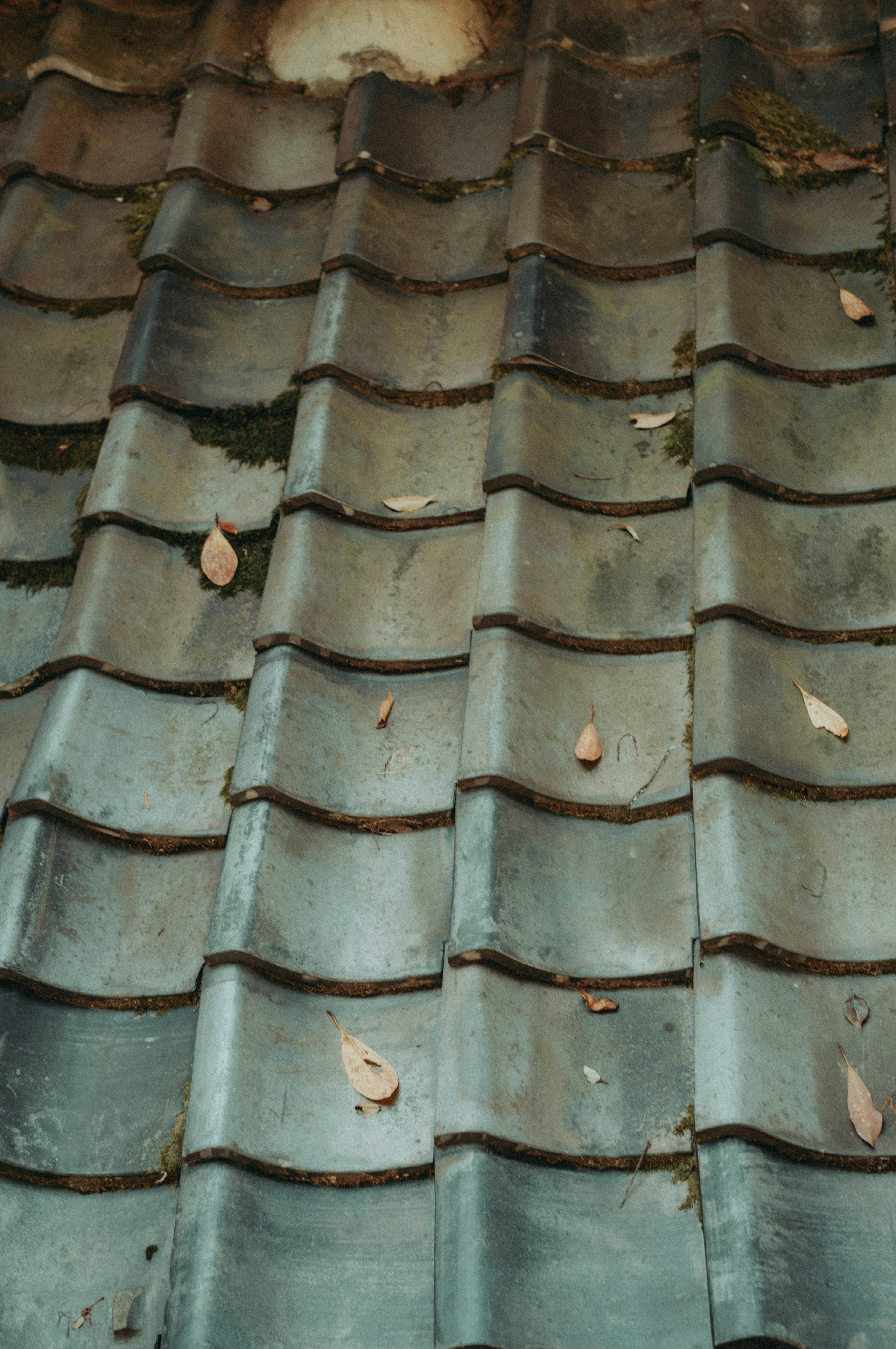 Pattern of roof tiles with scattered leaves