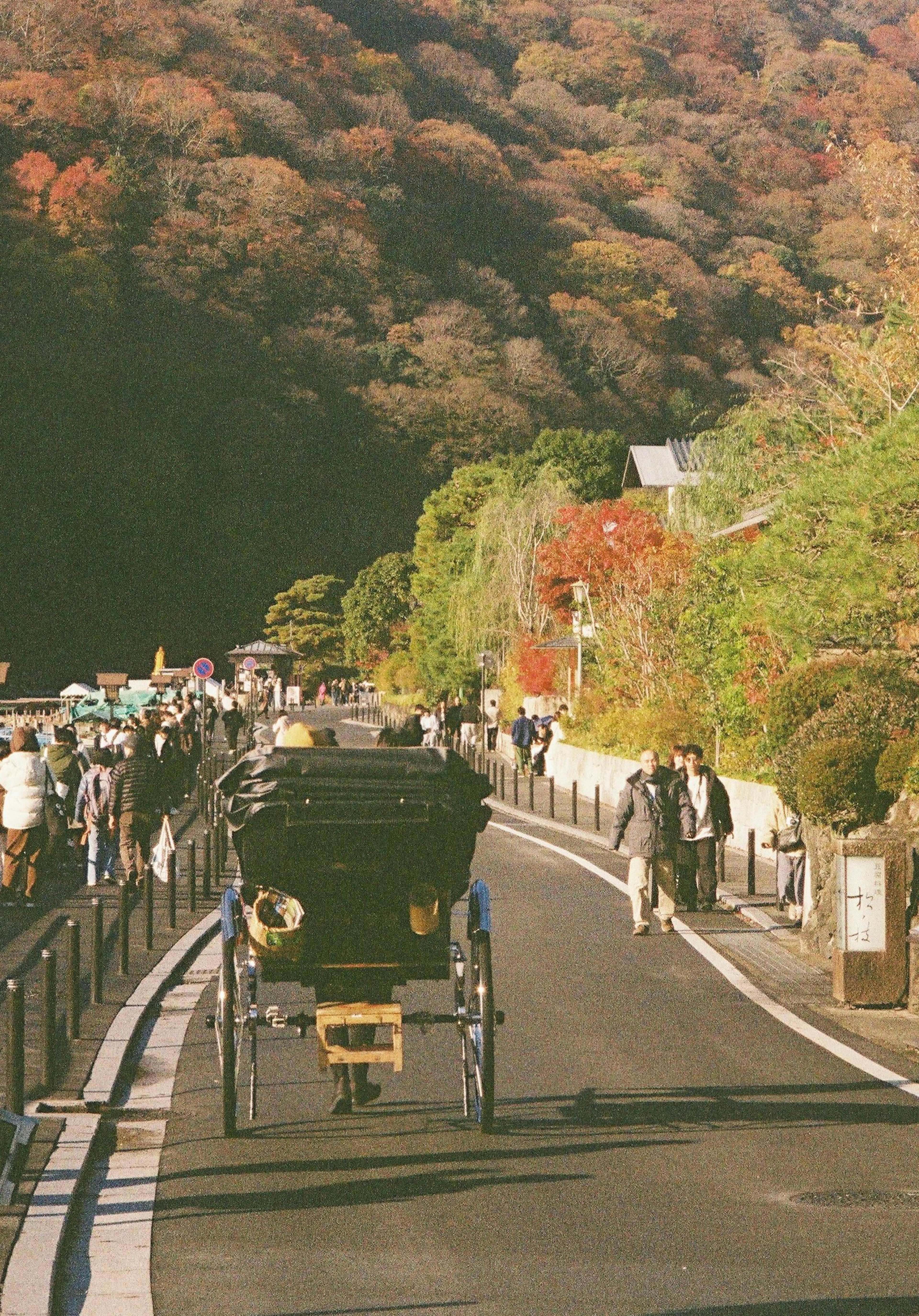 Rickshaw on a scenic road with autumn foliage and pedestrians