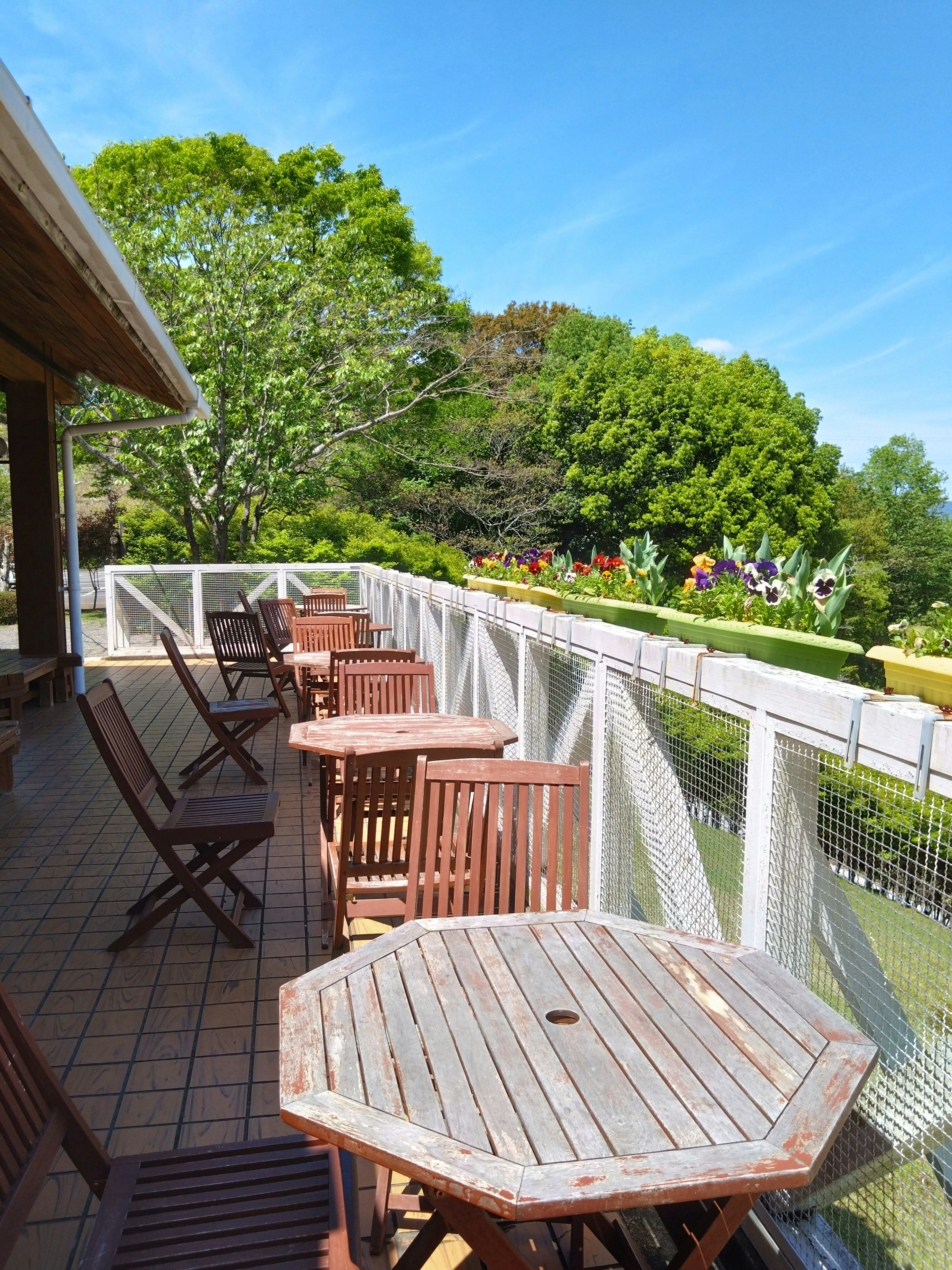 Balcony view with wooden tables and chairs green trees in the background