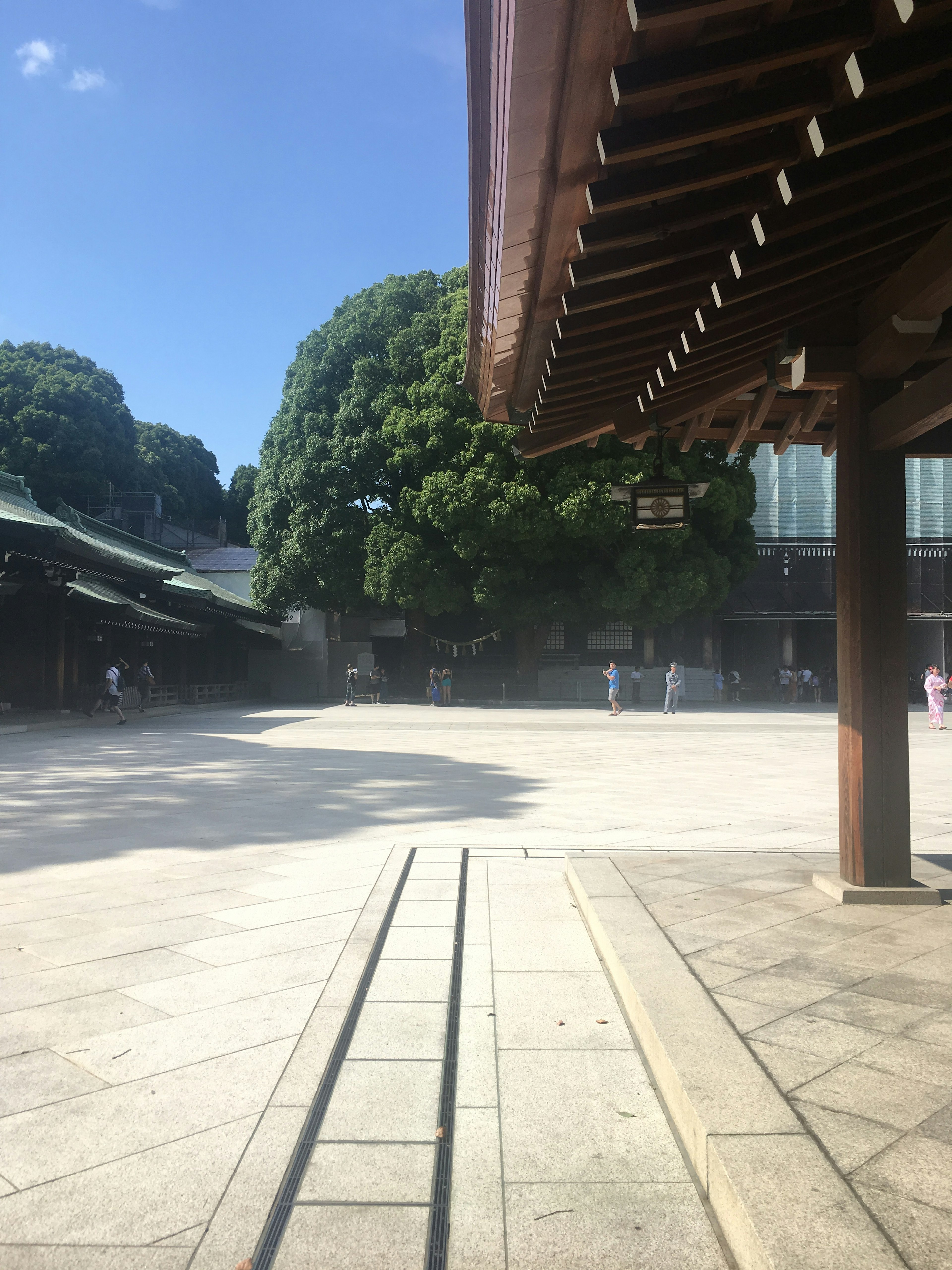 Un'area spaziosa con alberi e architettura tradizionale