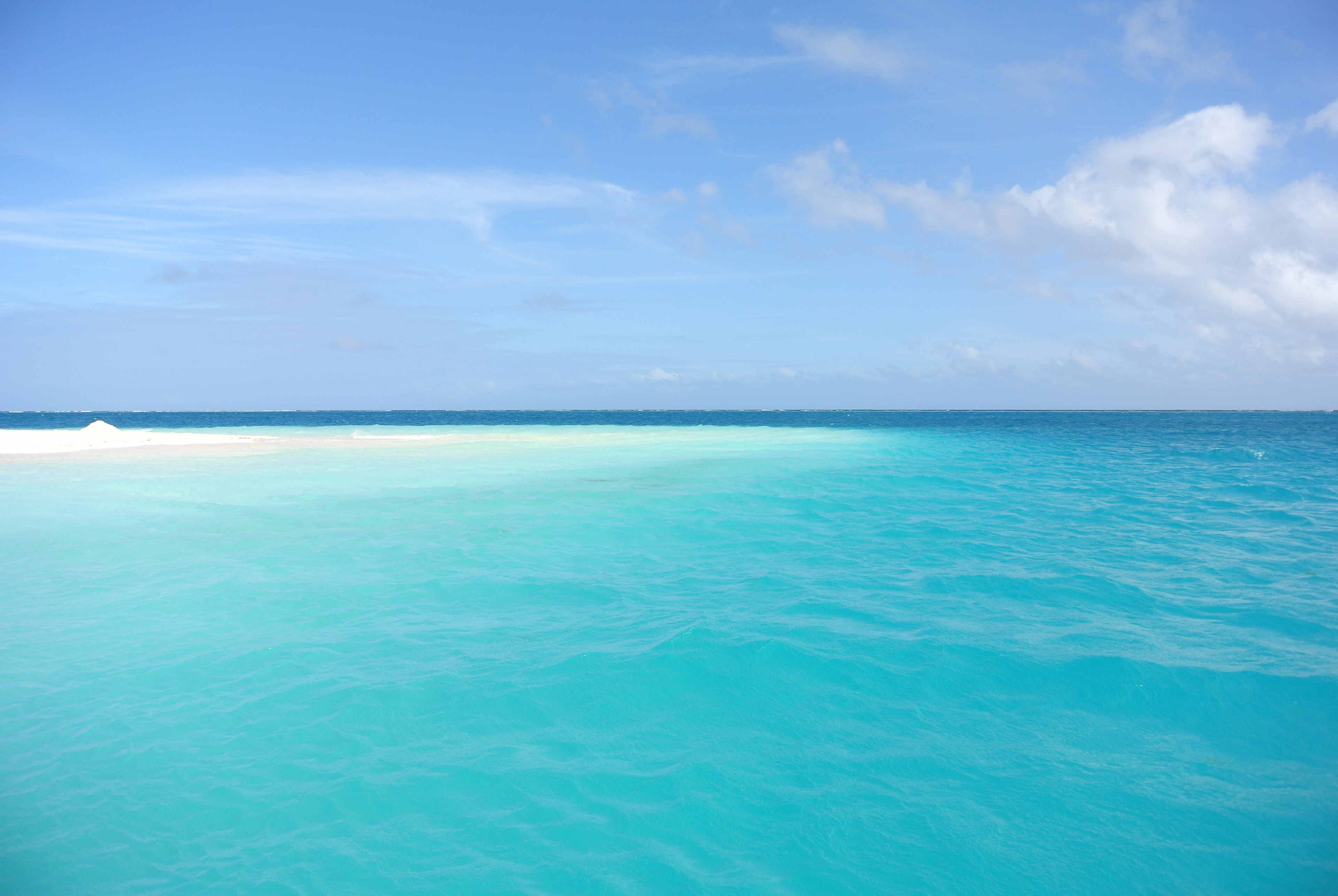 Une vue sereine de l'eau turquoise rencontrant le ciel bleu