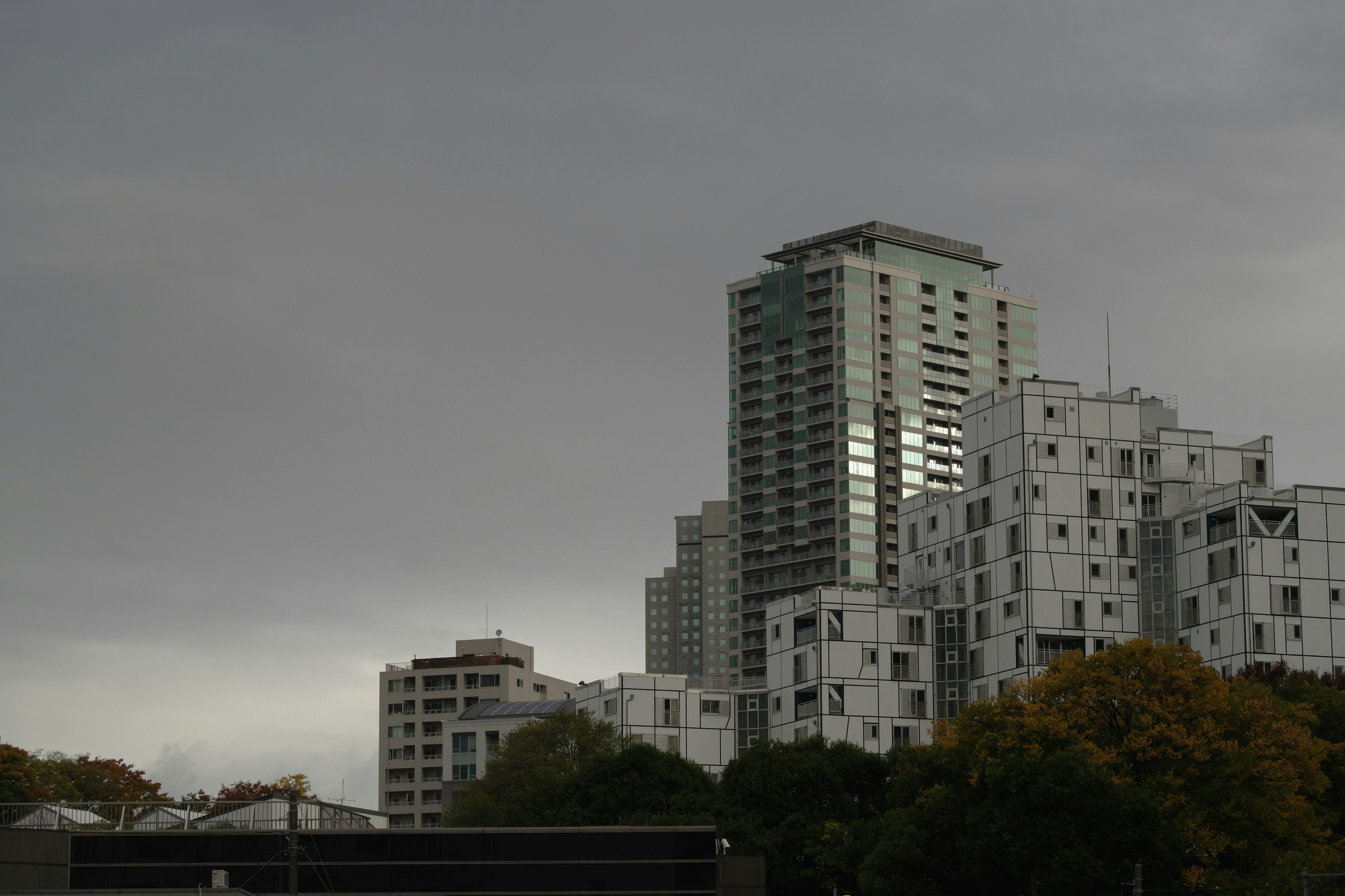 Horizon urbain avec des immeubles de grande hauteur sous un ciel gris et des nuages bas