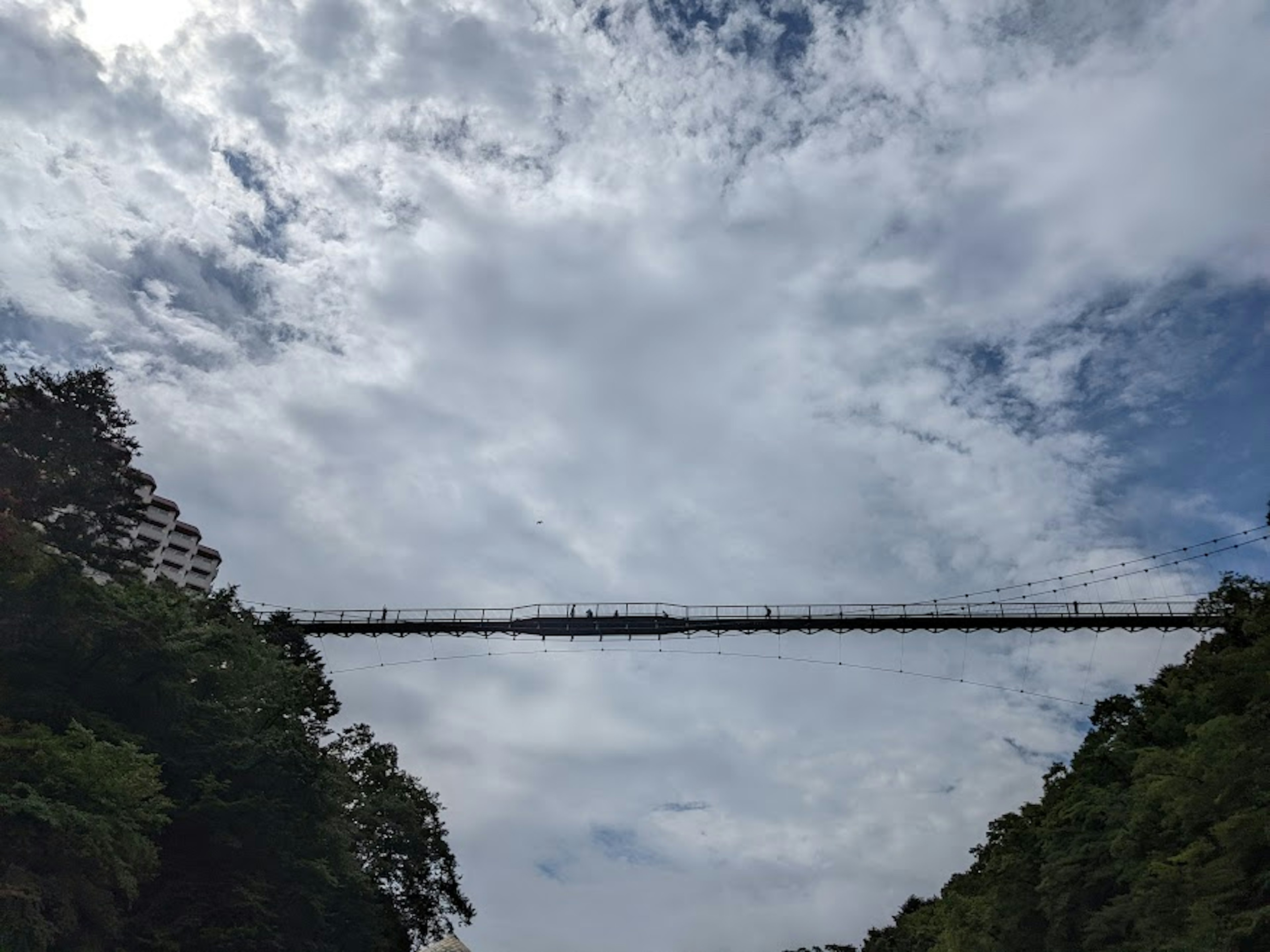 青空にかかる長い橋とその周囲の緑豊かな山々