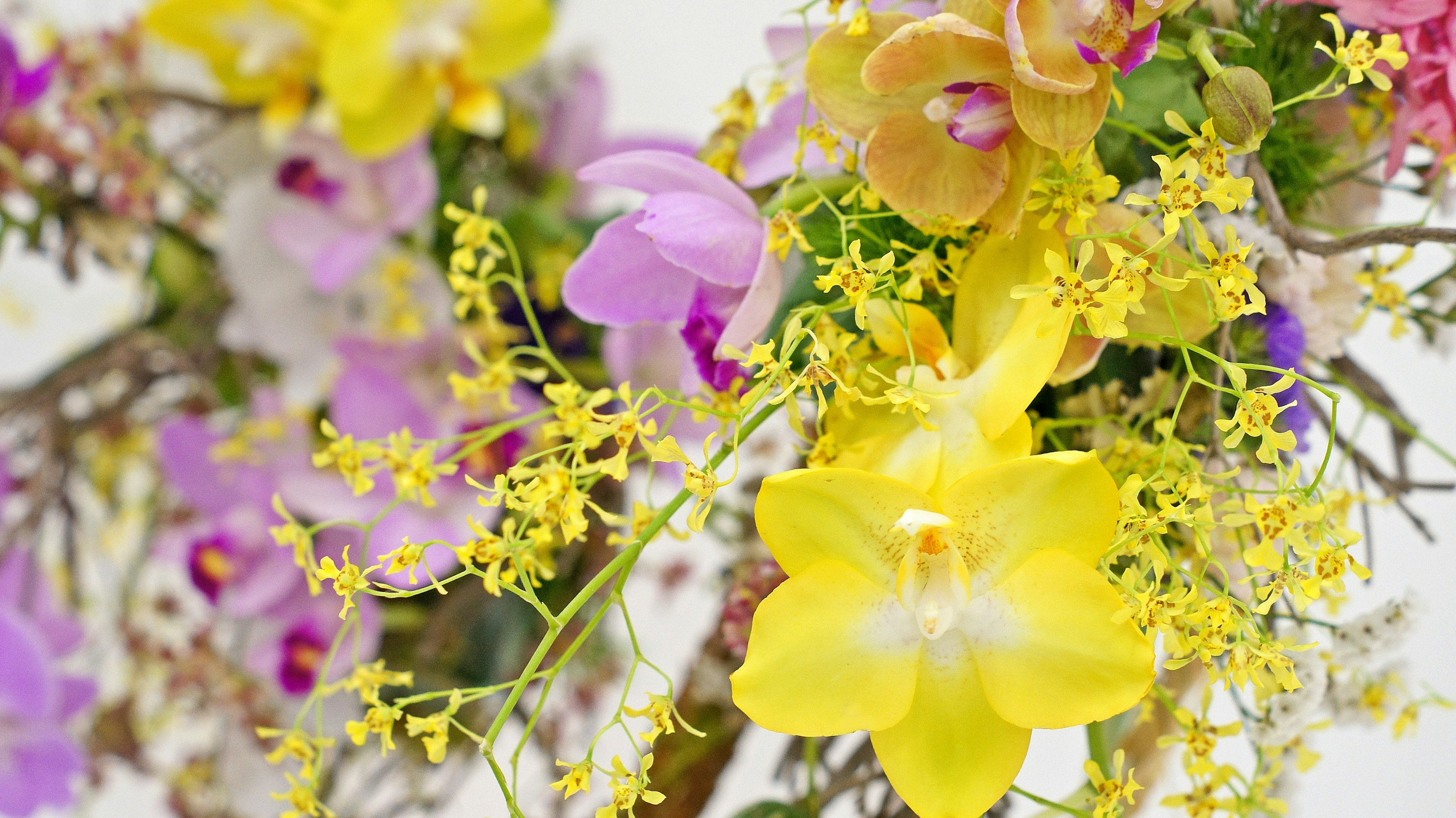 Beautiful arrangement of colorful flowers including yellow and purple orchids