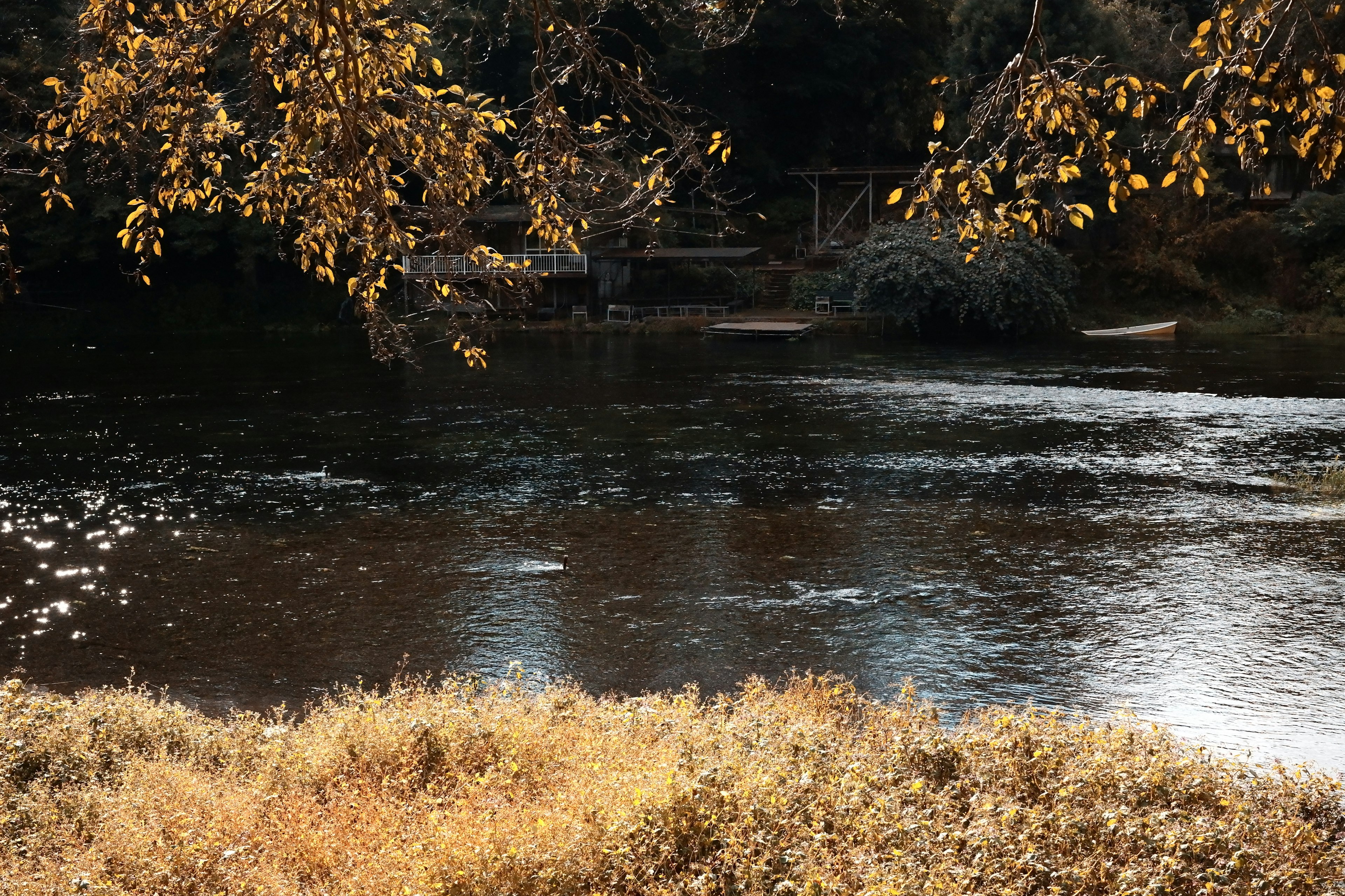 Calm river with autumn leaves reflecting in the water