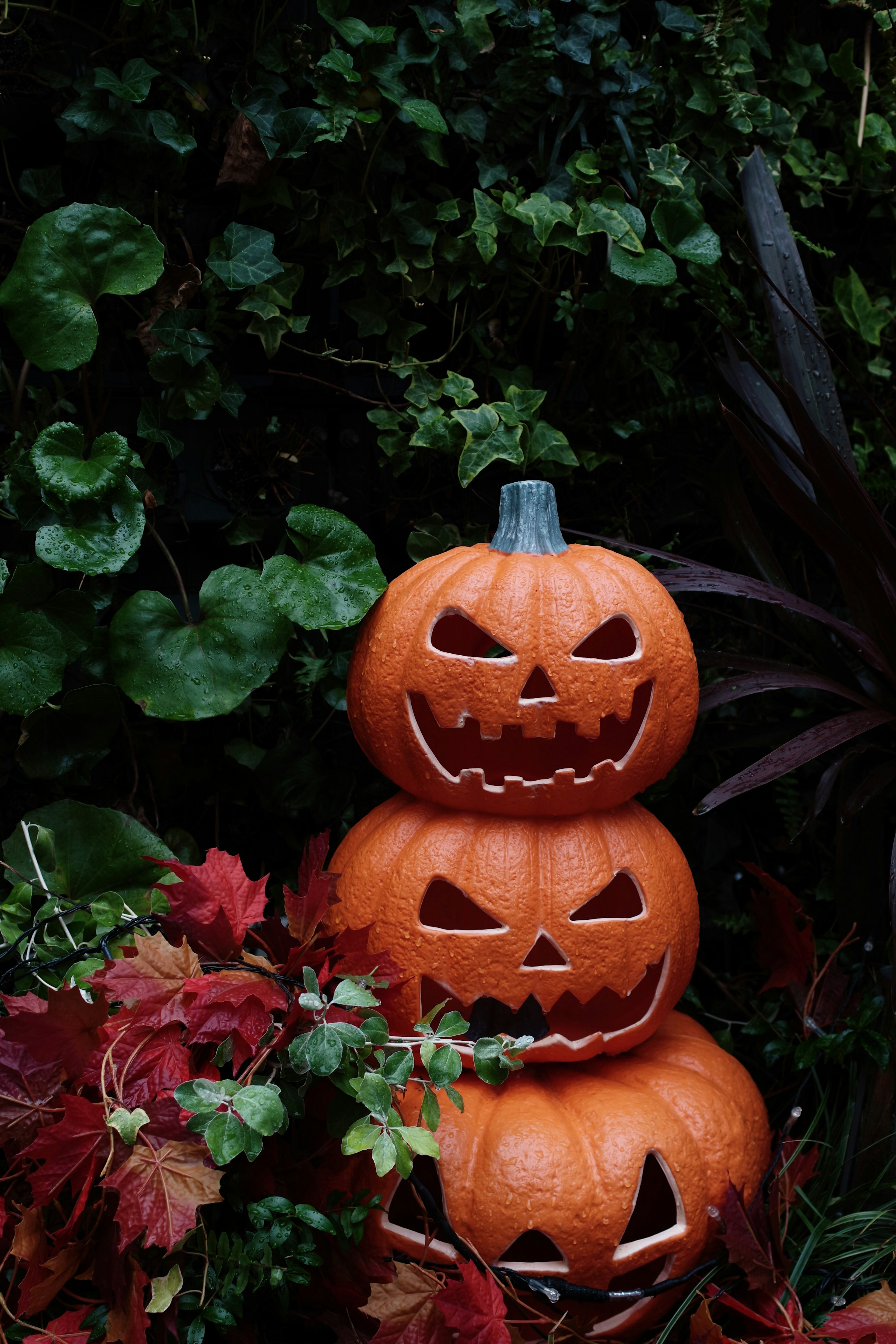 Three stacked jack-o'-lanterns with carved faces surrounded by green and red foliage