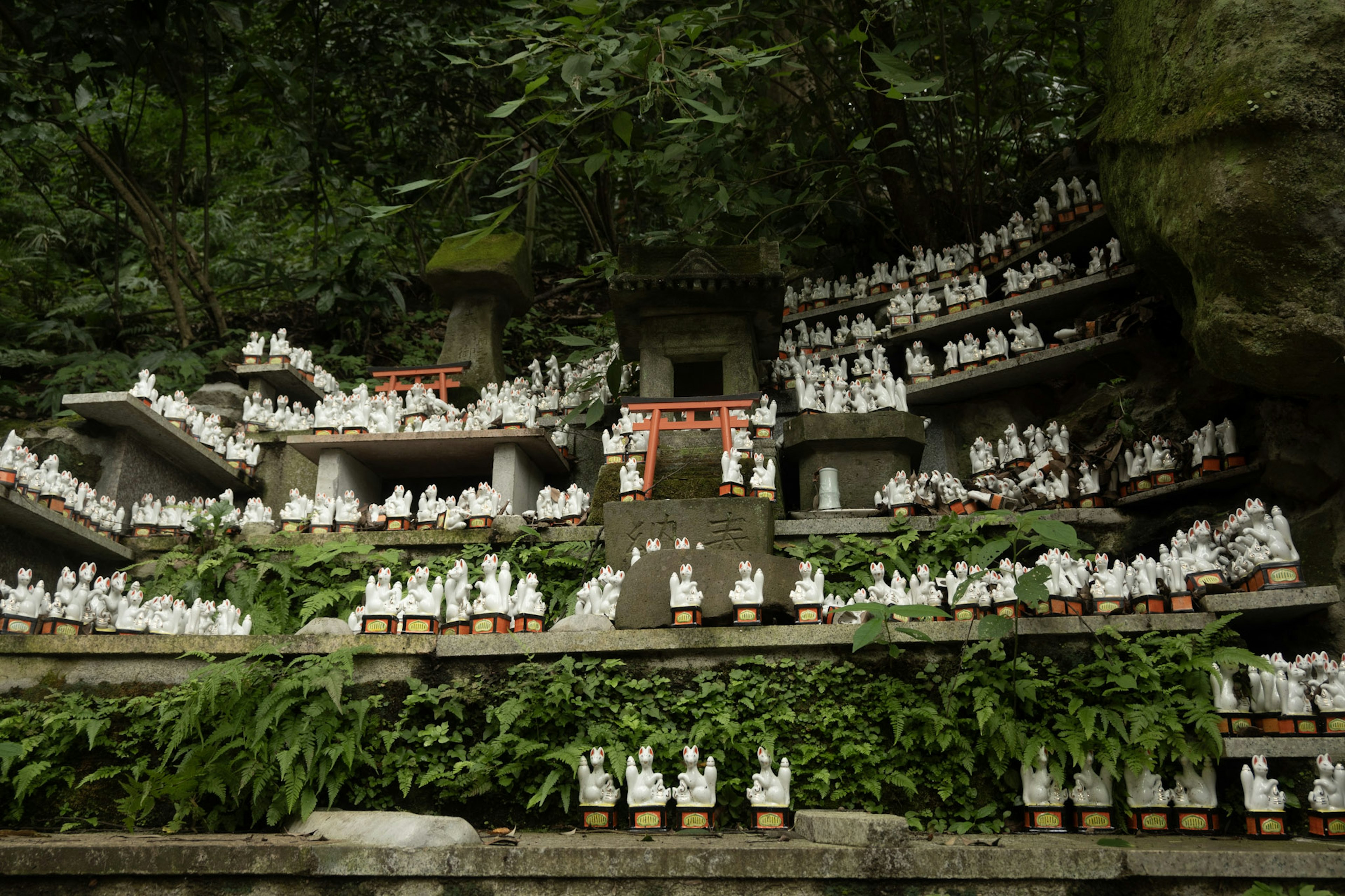 Numerous white statues arranged on tiered structures of a small shrine surrounded by greenery