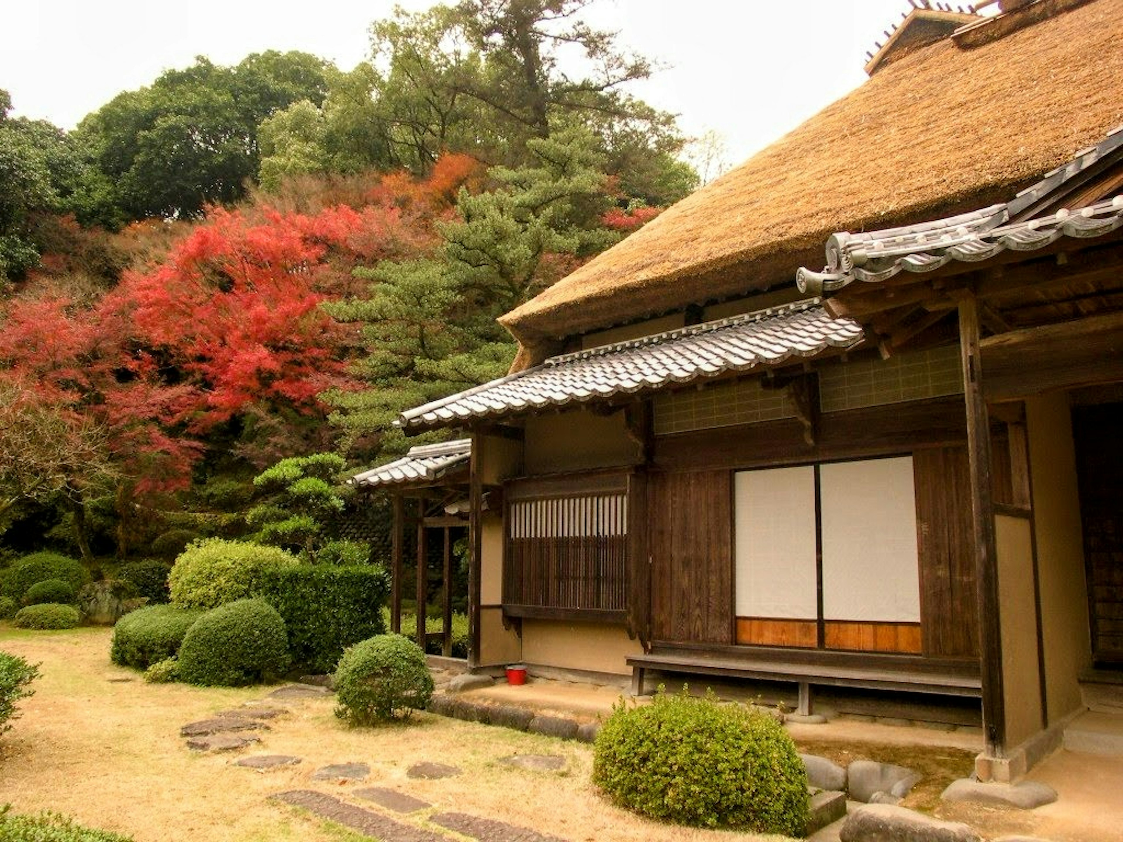 Casa japonesa tradicional con techo de paja rodeada de follaje otoñal vibrante