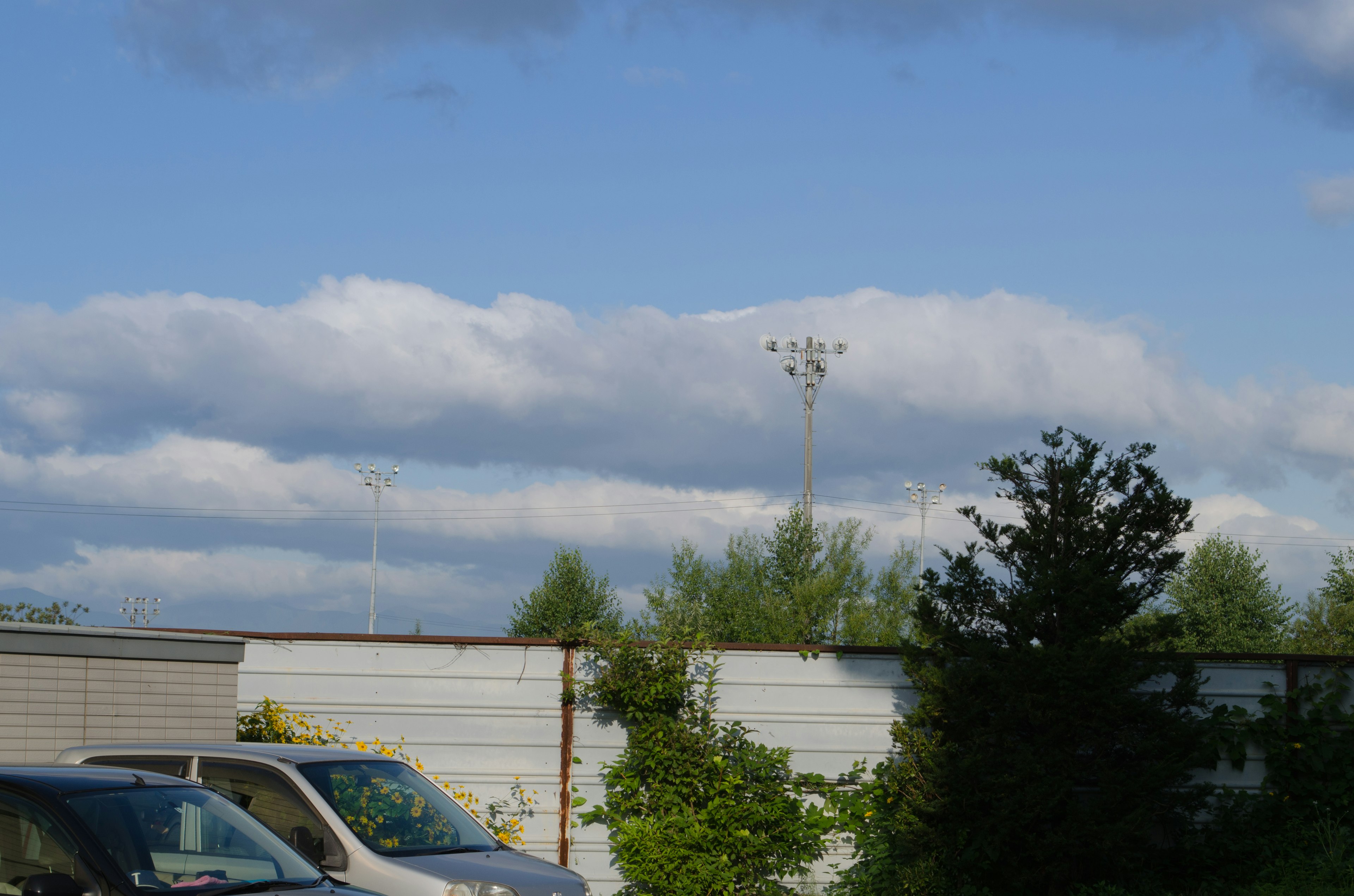 Vista panoramica di cielo blu con nuvole bianche e un palo della luce visibile Parcheggio con veicoli e vegetazione