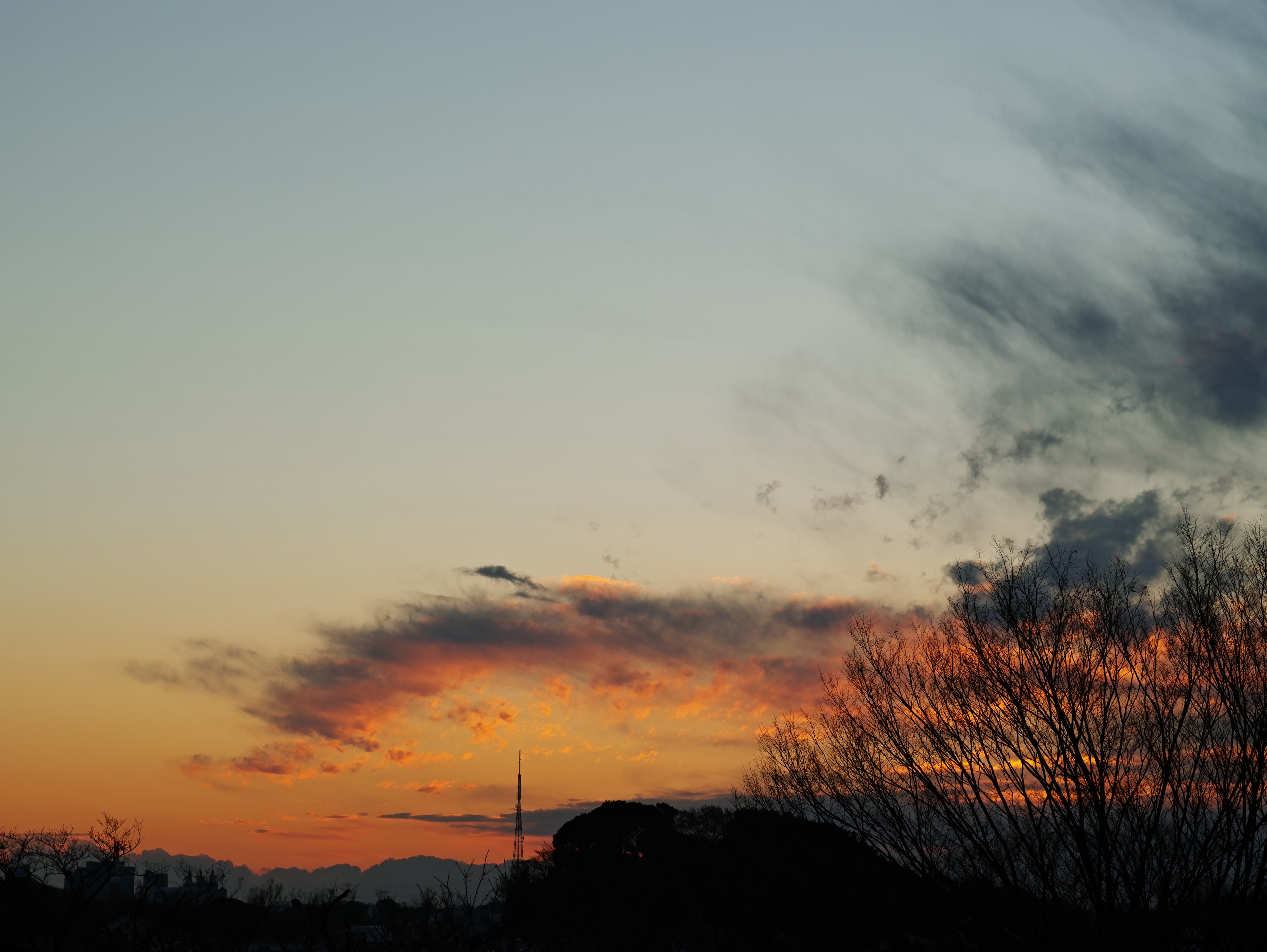 生動的日落天空與橙色雲彩和樹木輪廓