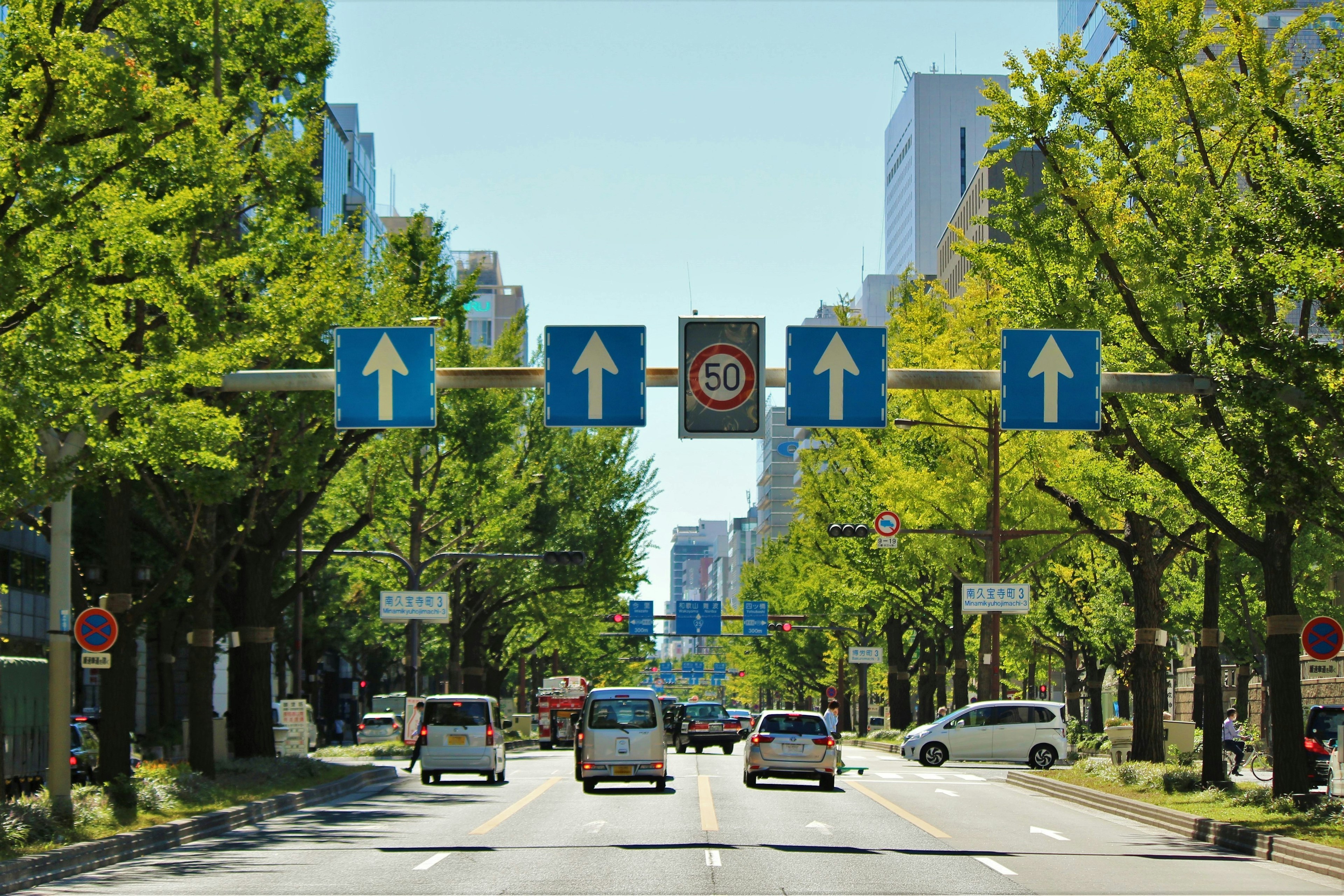 City street lined with green trees traffic signs visible