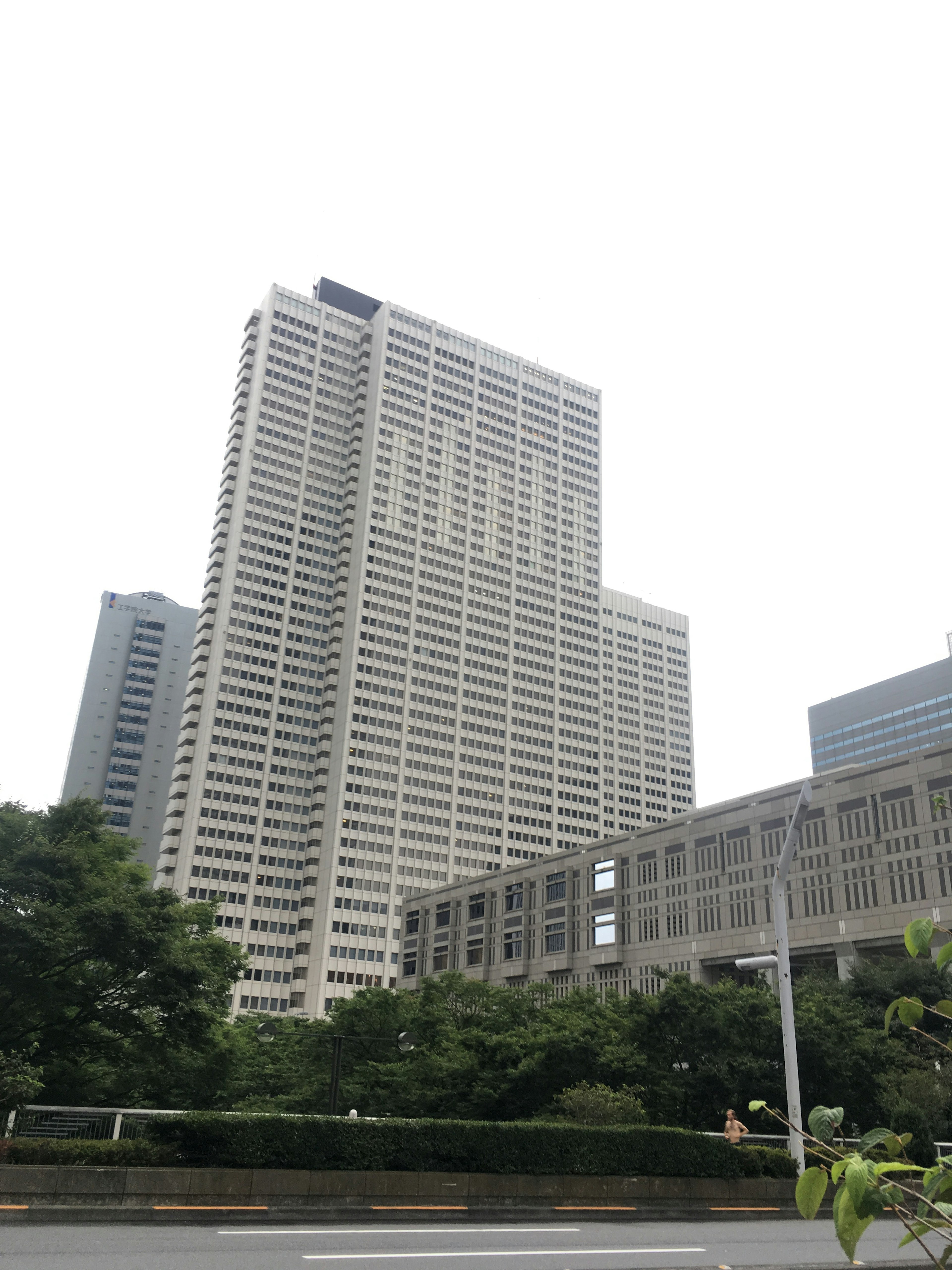 Photo of a tall building with a lush green environment