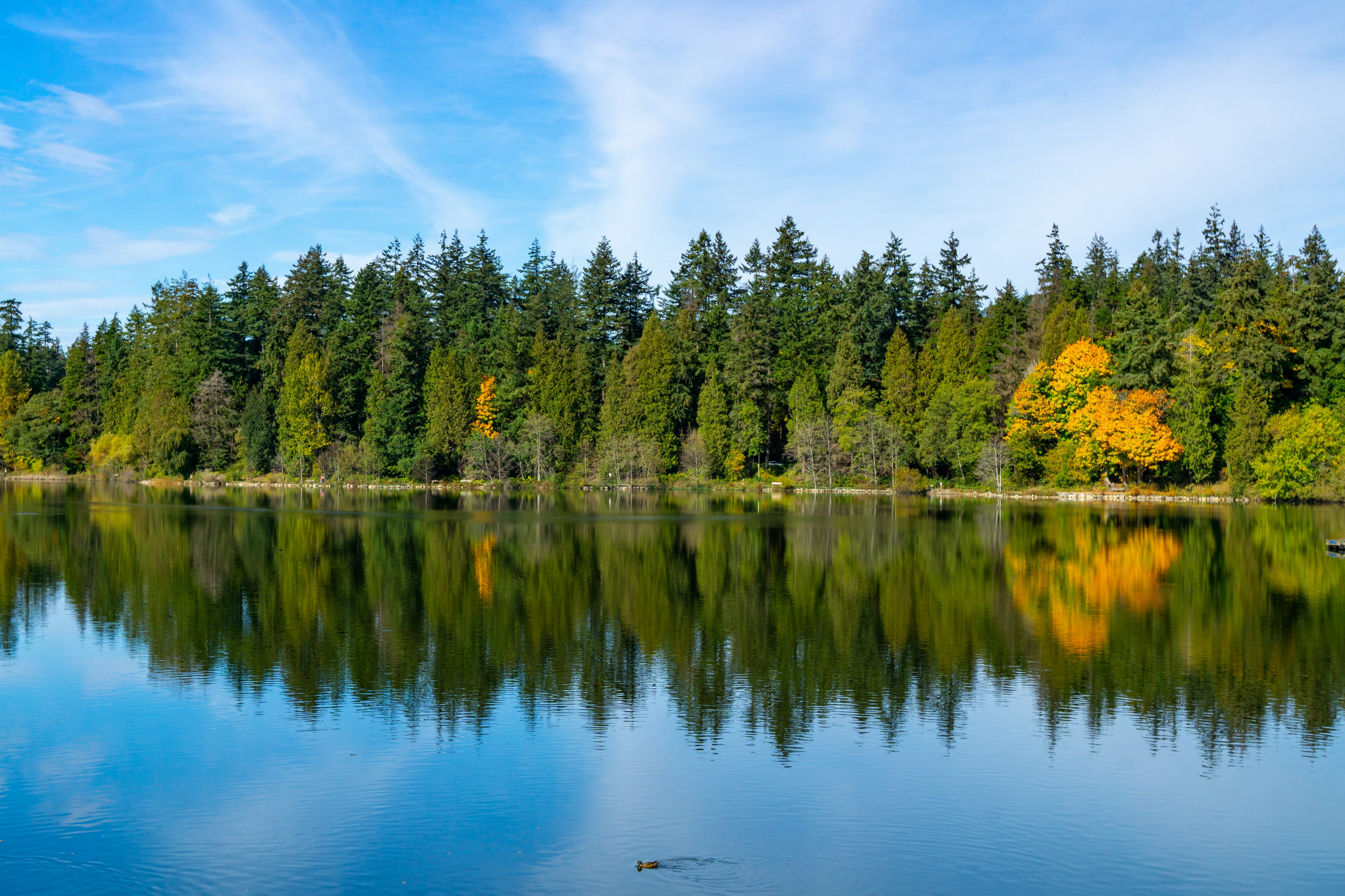 Cielo blu con riflessi su un lago circondato da alberi verdi e gialli