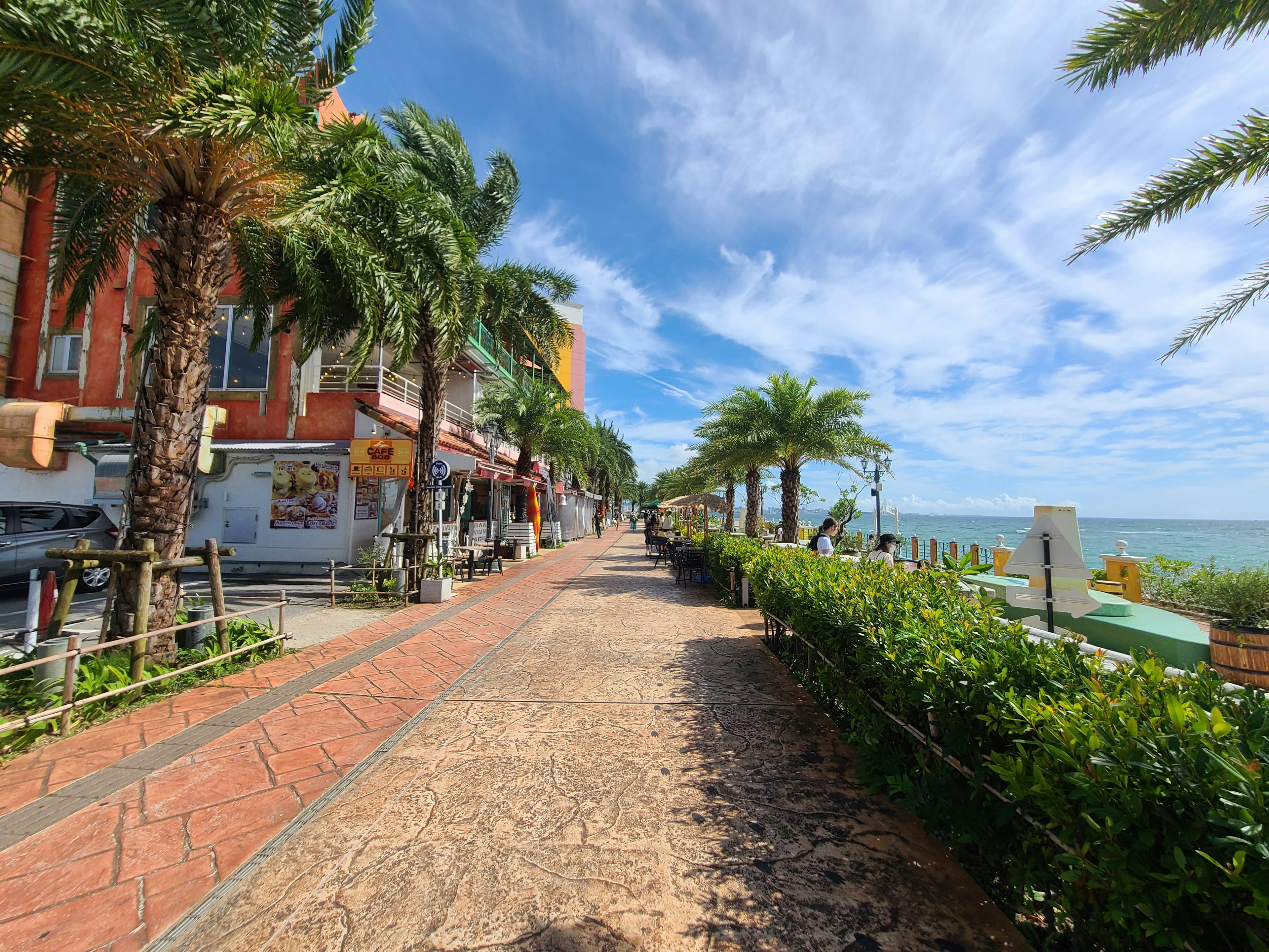 Scenic beachside walkway lined with palm trees under a blue sky