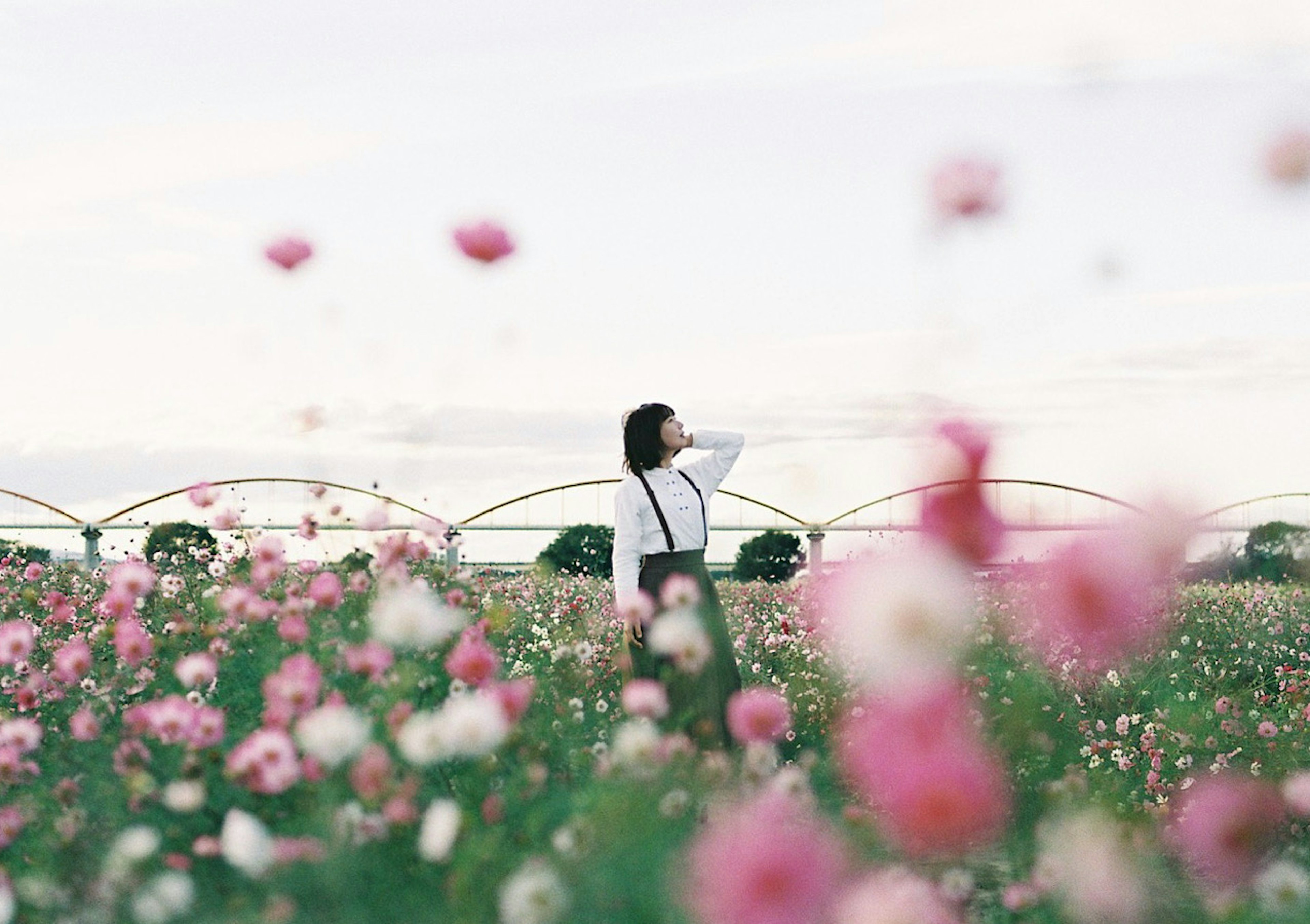 Une femme se tenant dans un champ de fleurs entourée de fleurs roses