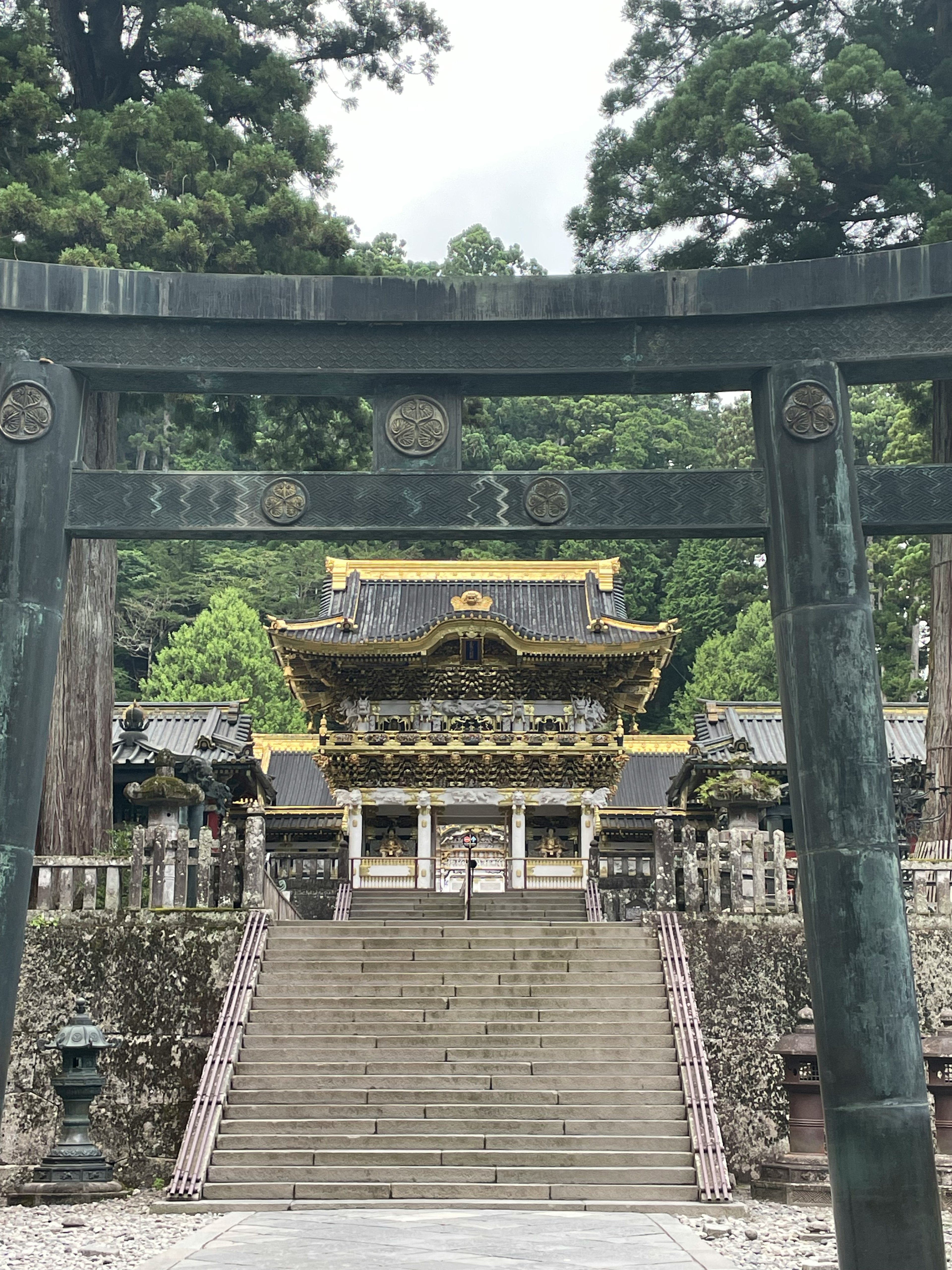 Beautiful building of Toshogu Shrine visible through the torii gate