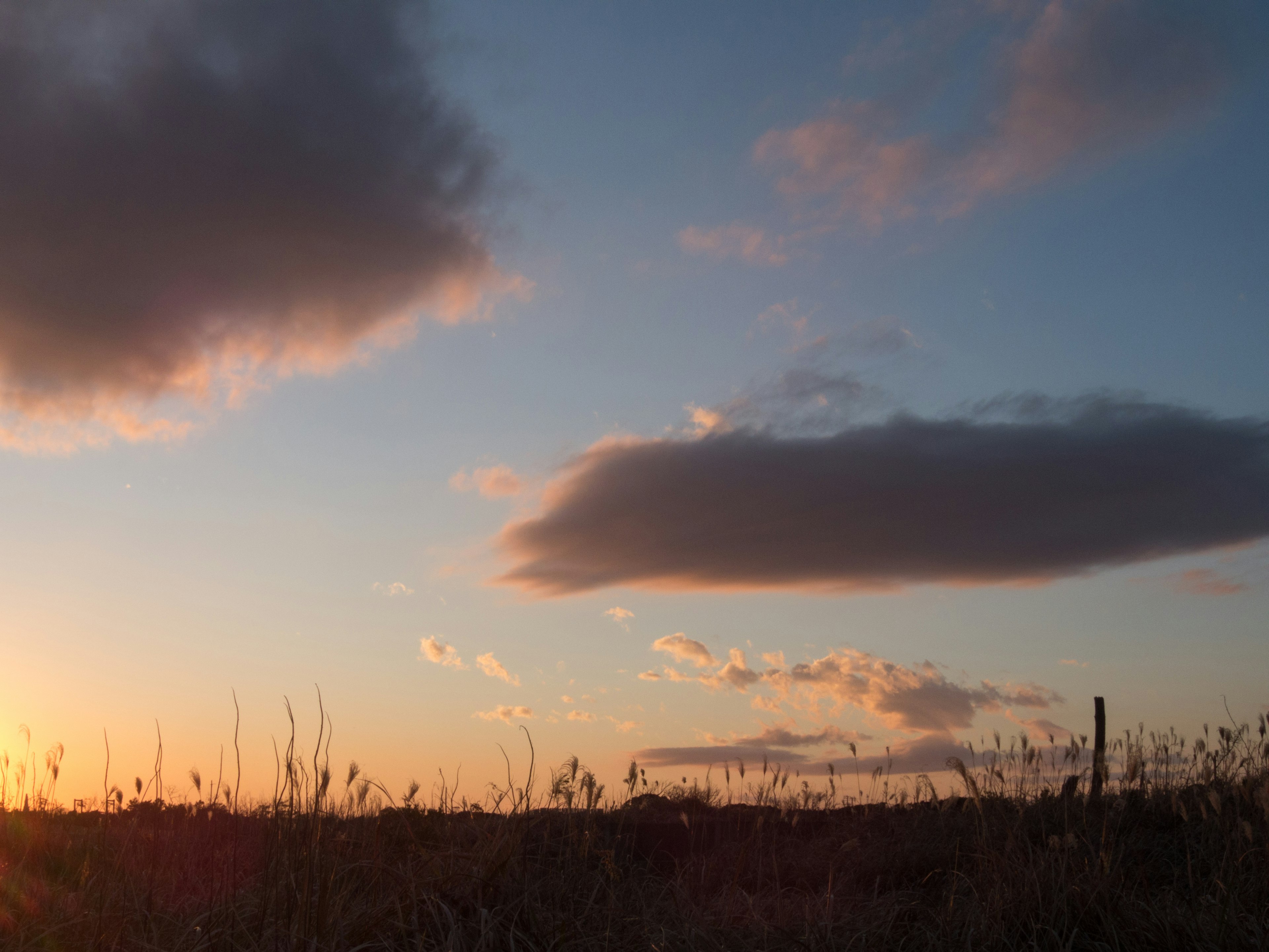 Silhouette of grassland with clouds in a sunset sky