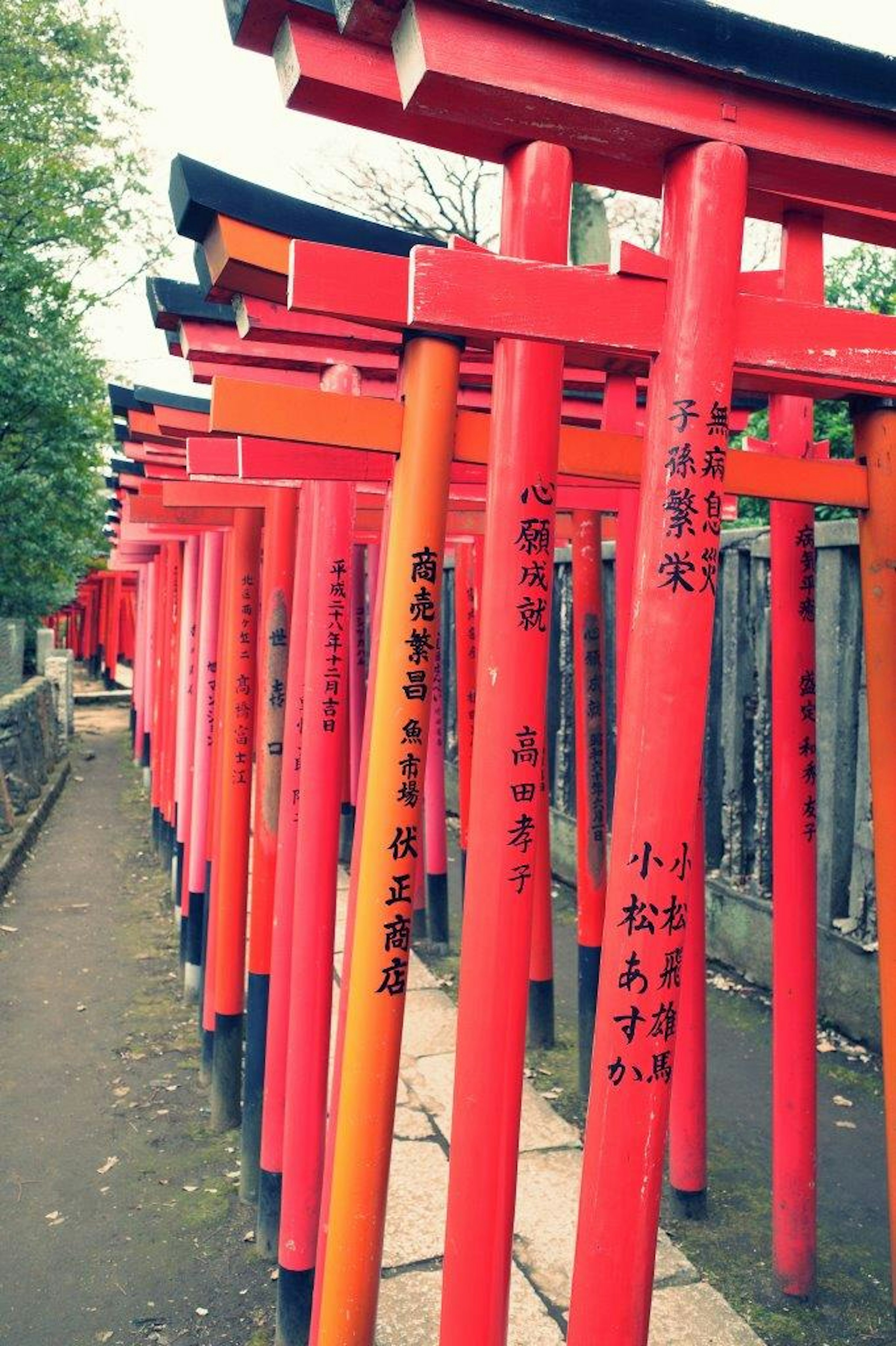 Un paysage de portails torii rouges avec des inscriptions sur les piliers