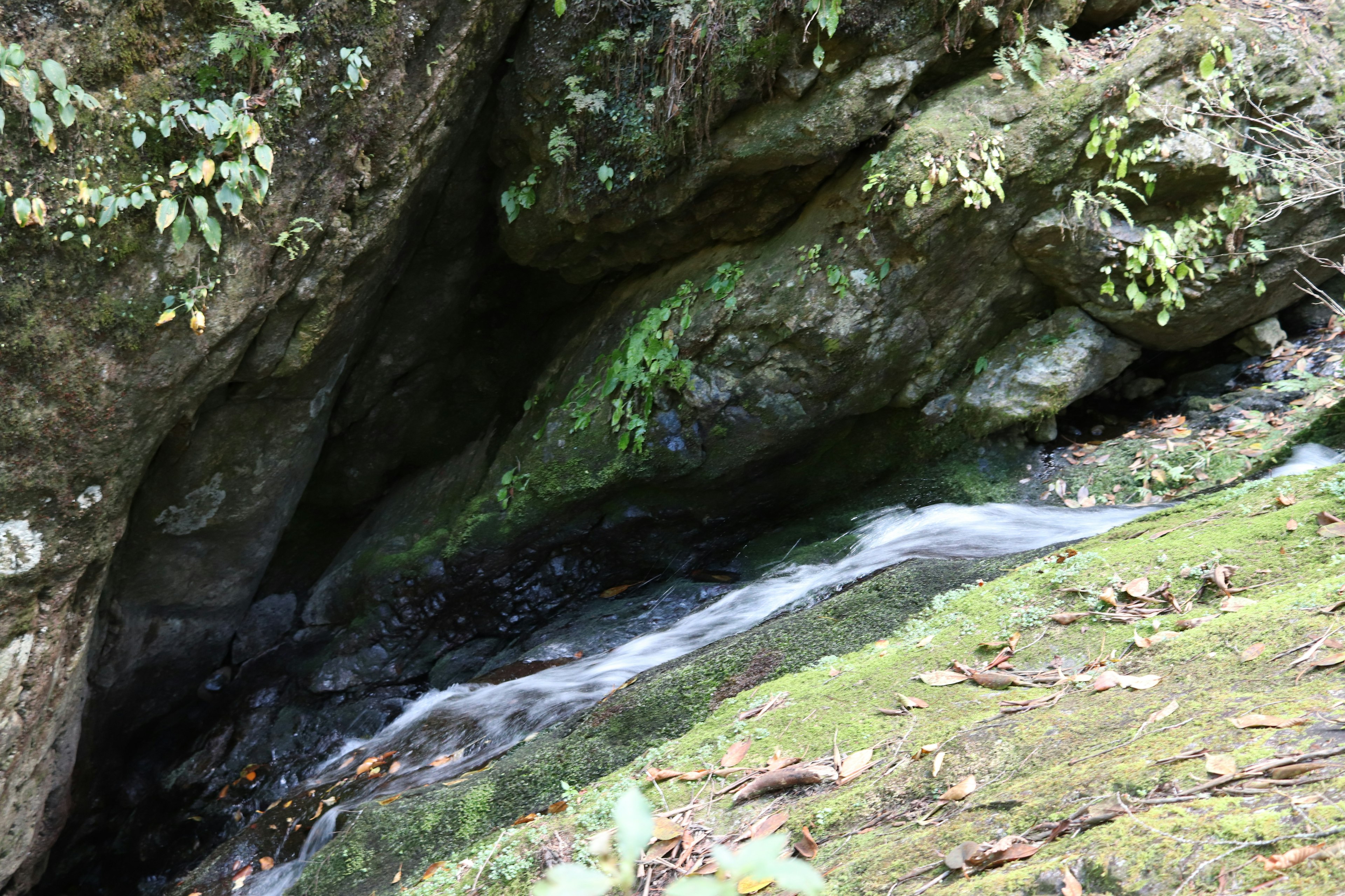 A stream flowing between rocks in a lush green landscape