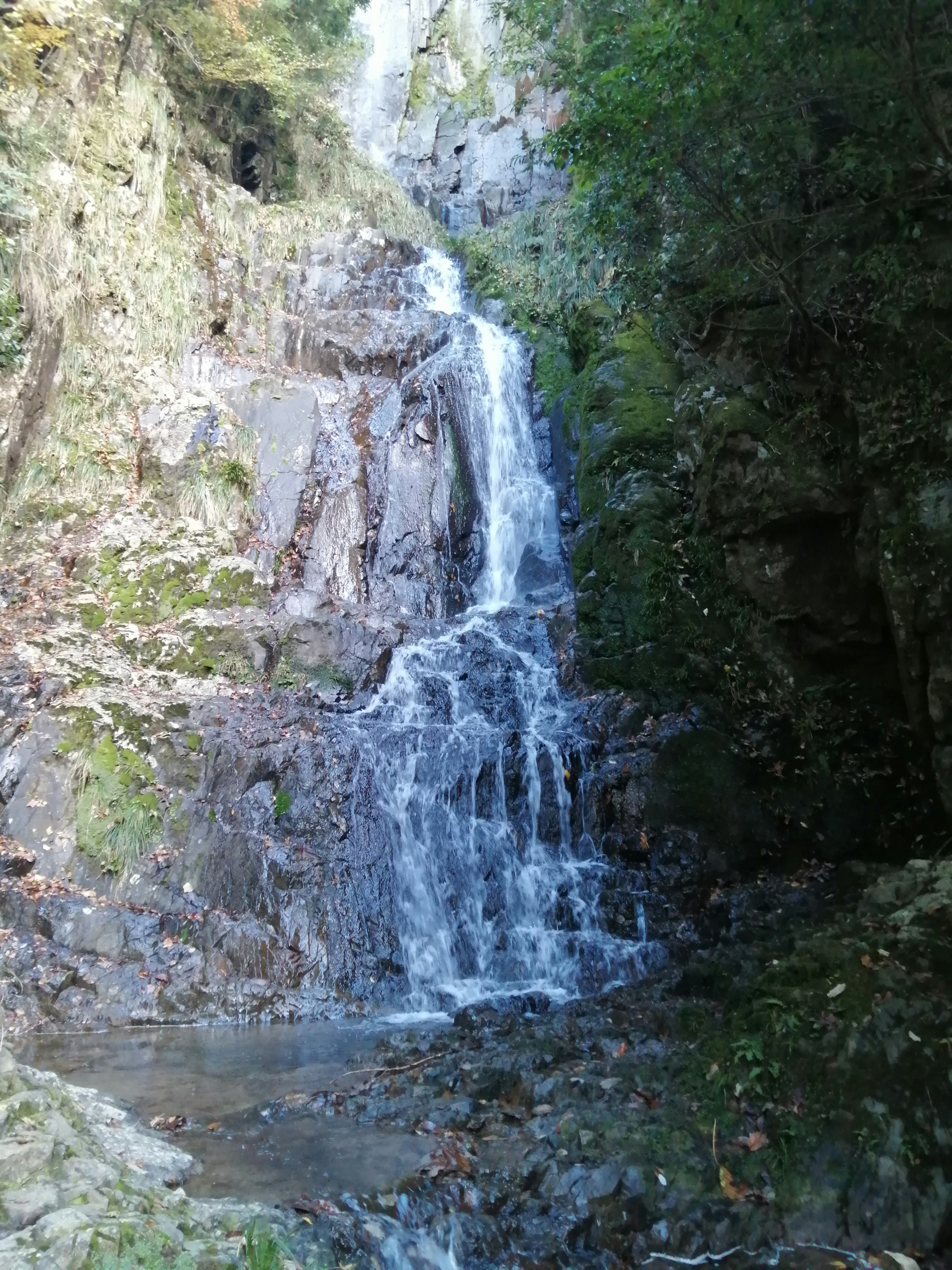 Una bella cascata che scorre tra rocce e vegetazione