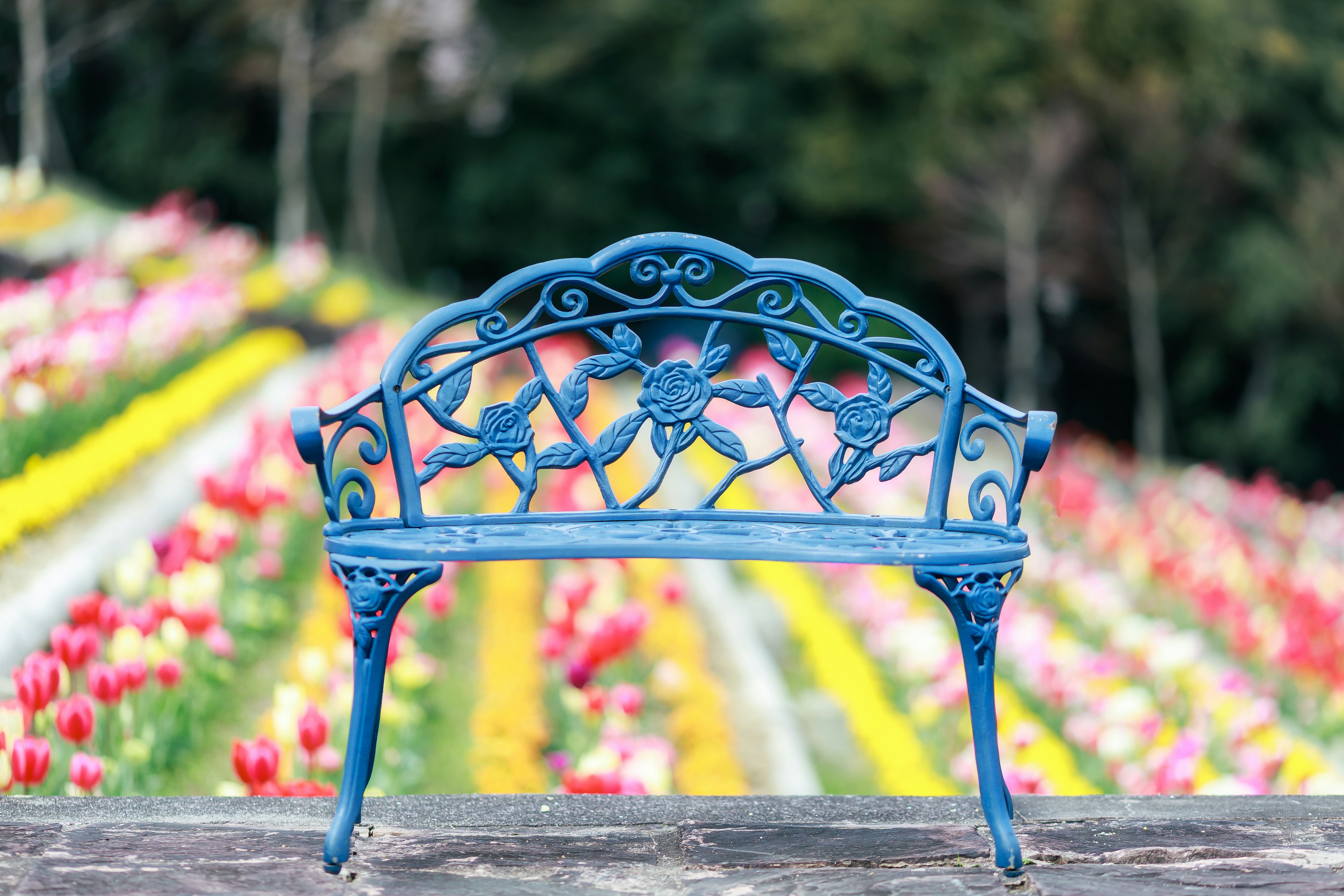 Blue metal bench in front of a colorful flower garden