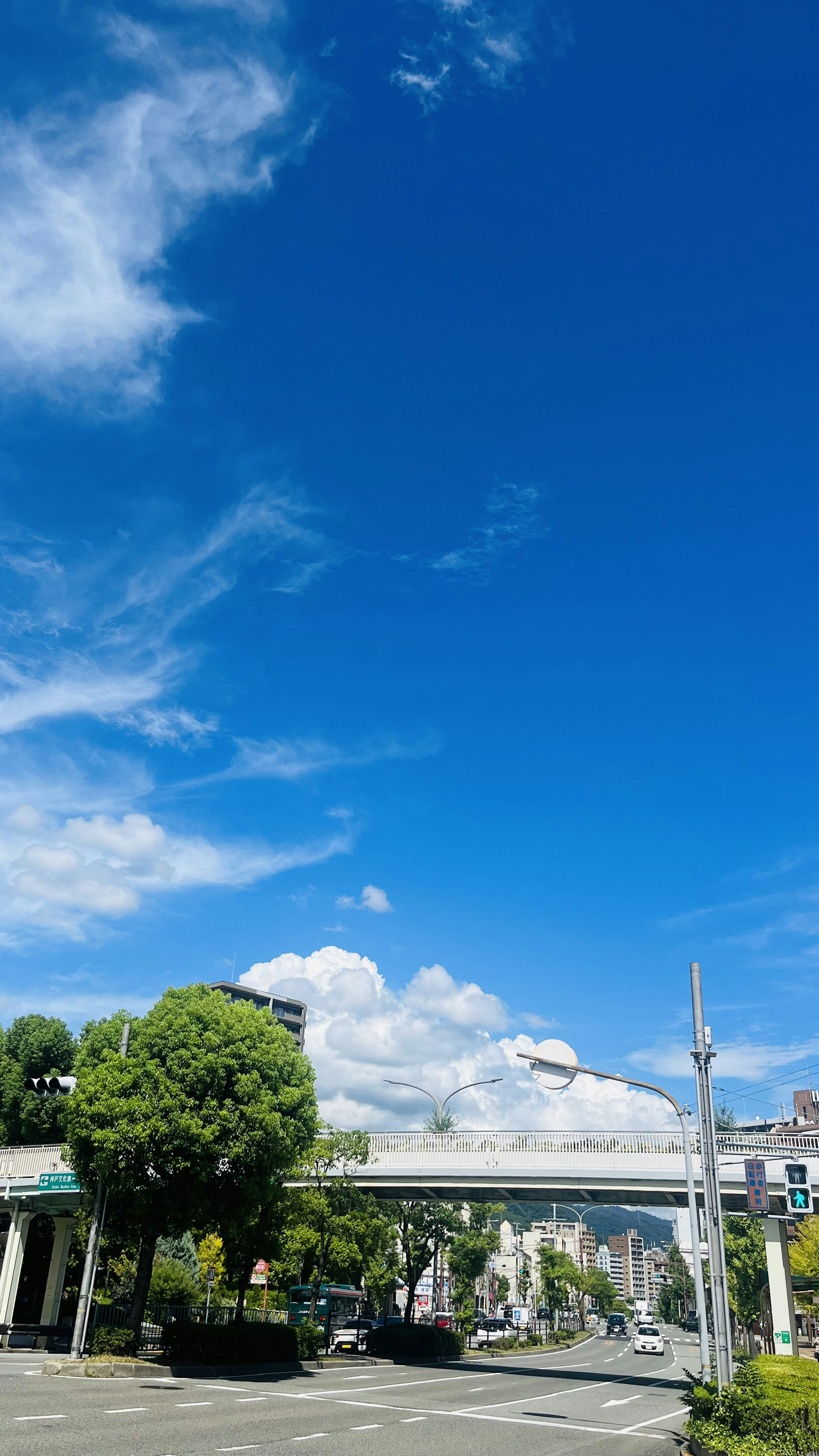 Paysage urbain avec ciel bleu et nuages blancs arbres verts et route pavée