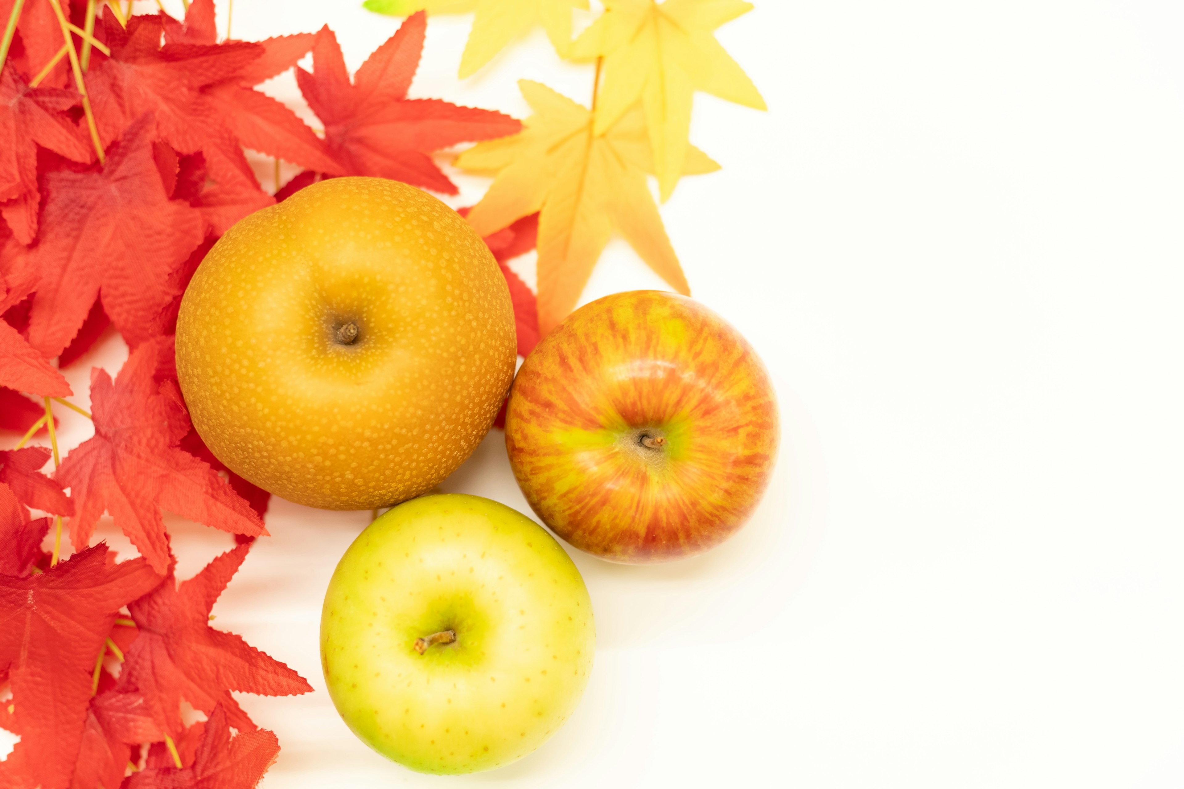 Escena de otoño con hojas rojas y tres tipos de manzanas