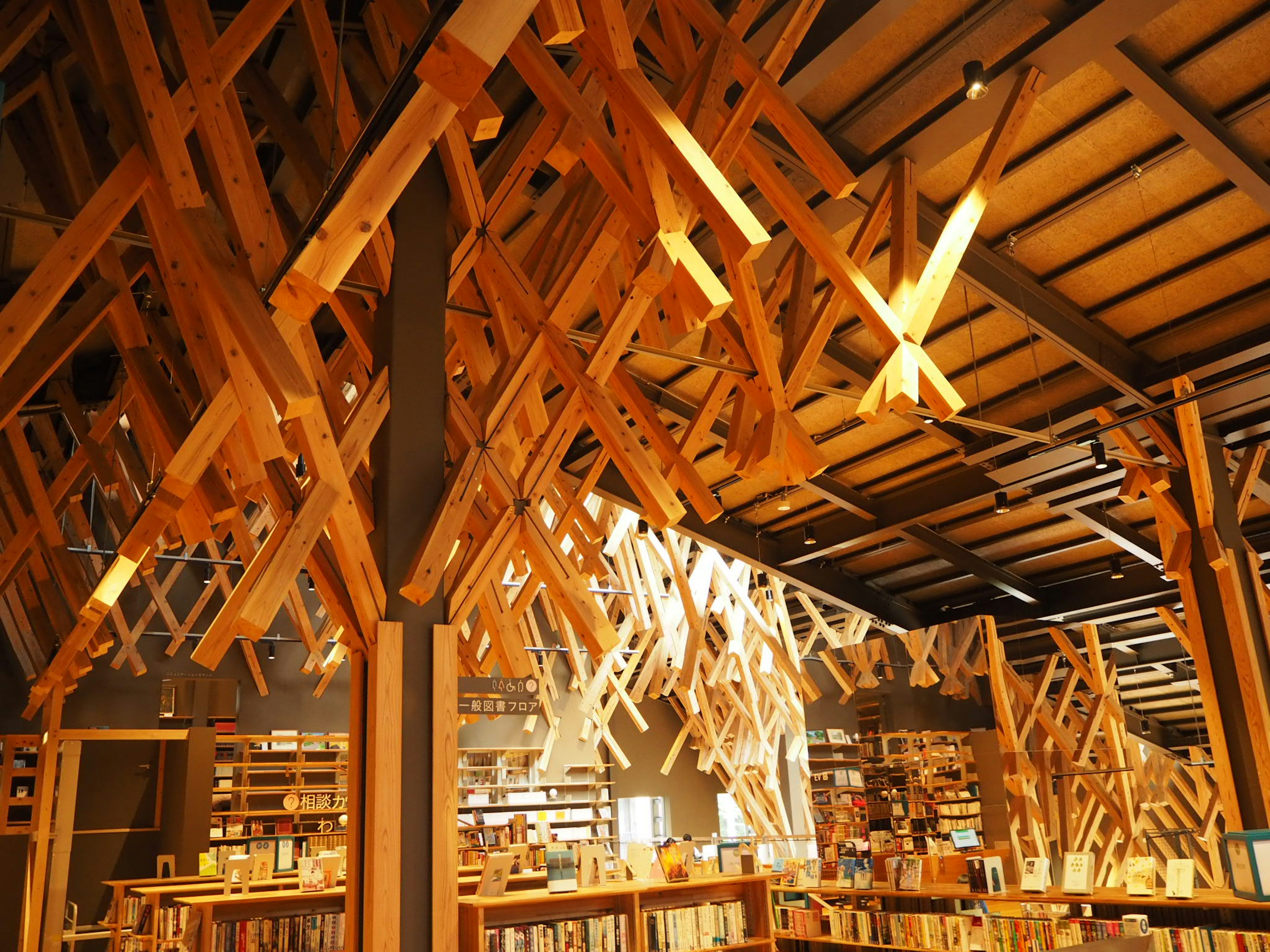 Interior de una biblioteca con una estructura de madera única