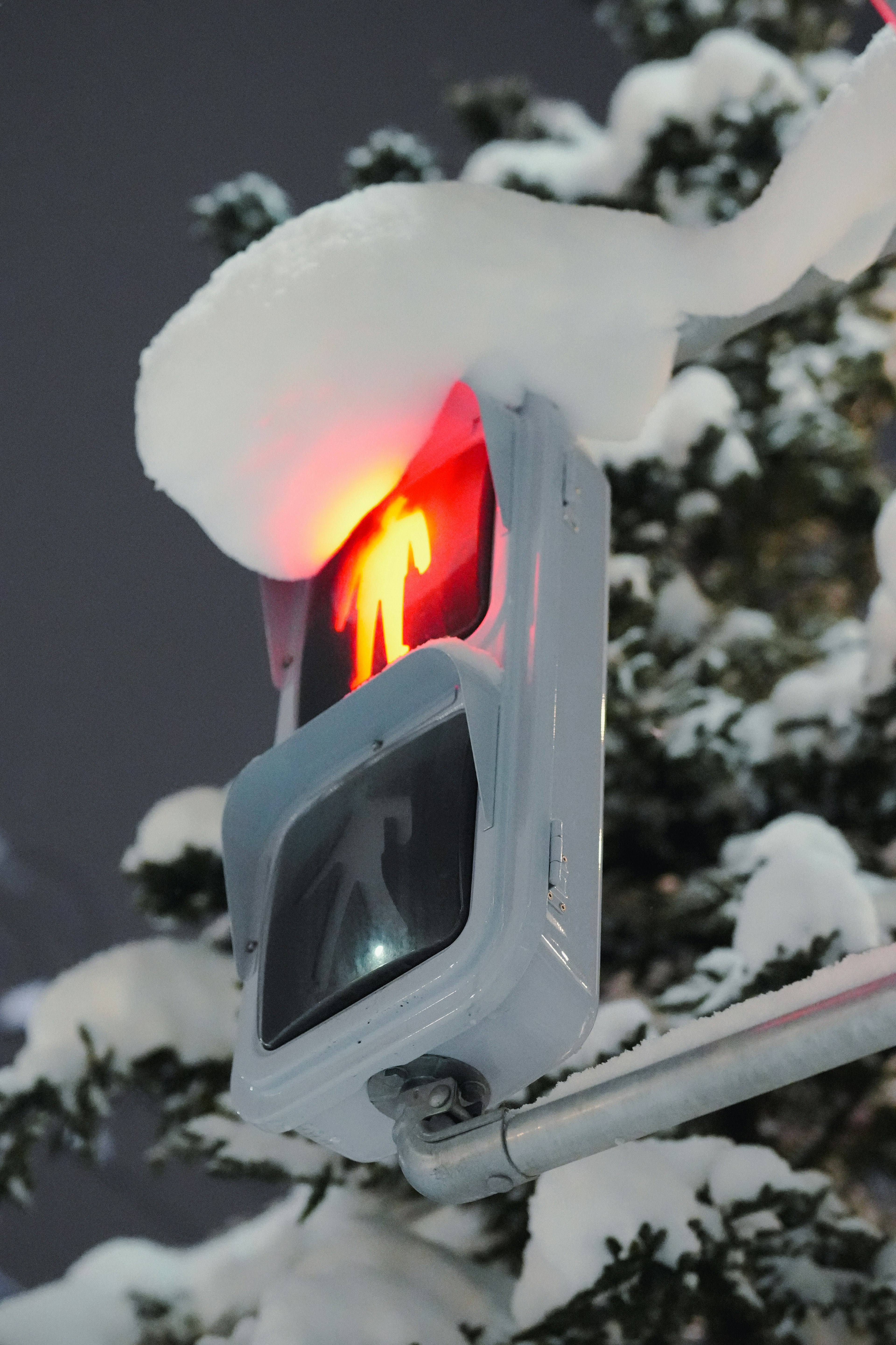 Snow-covered red pedestrian traffic light