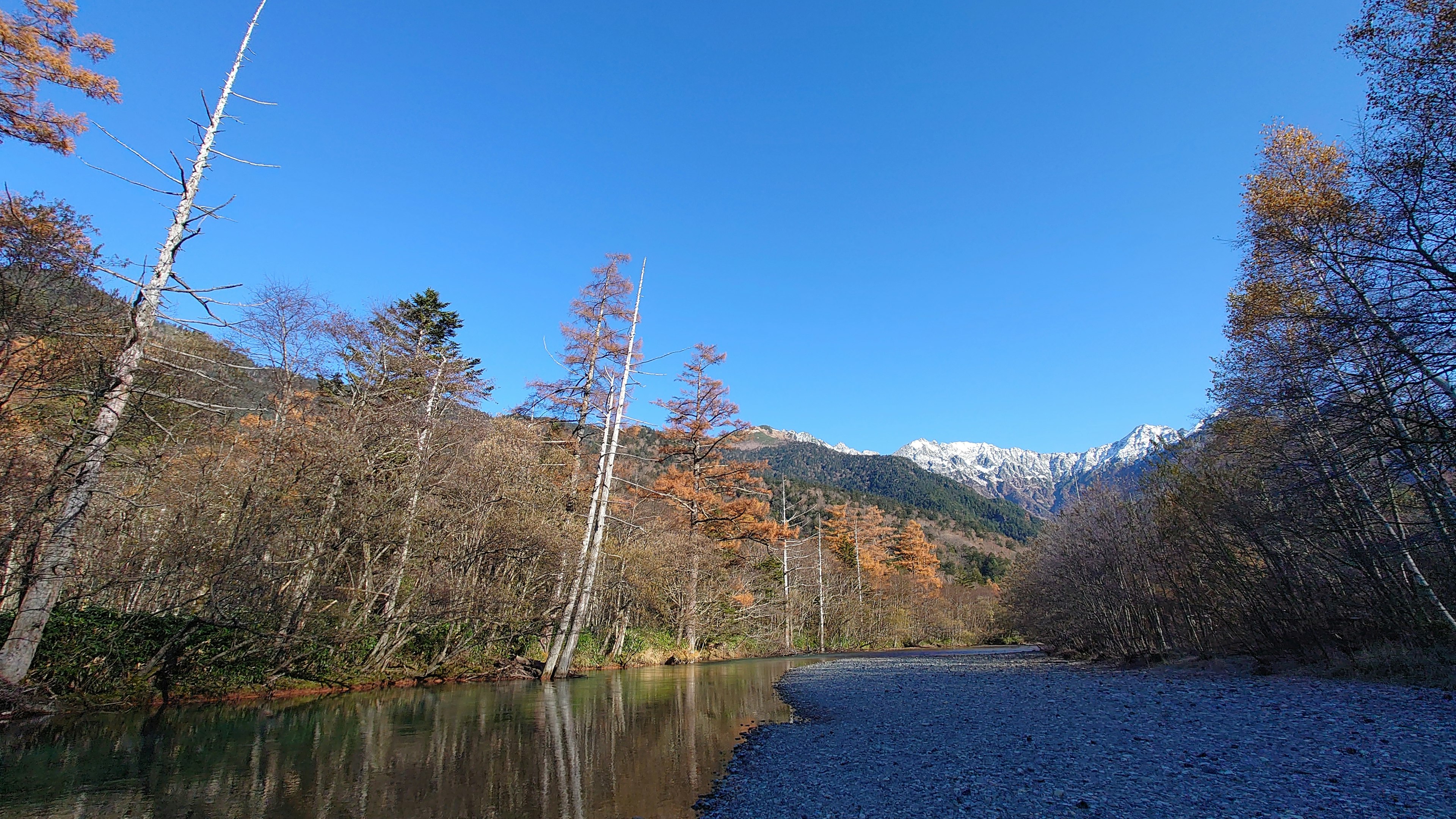 在晴朗藍天下的河流與秋天樹木的風景