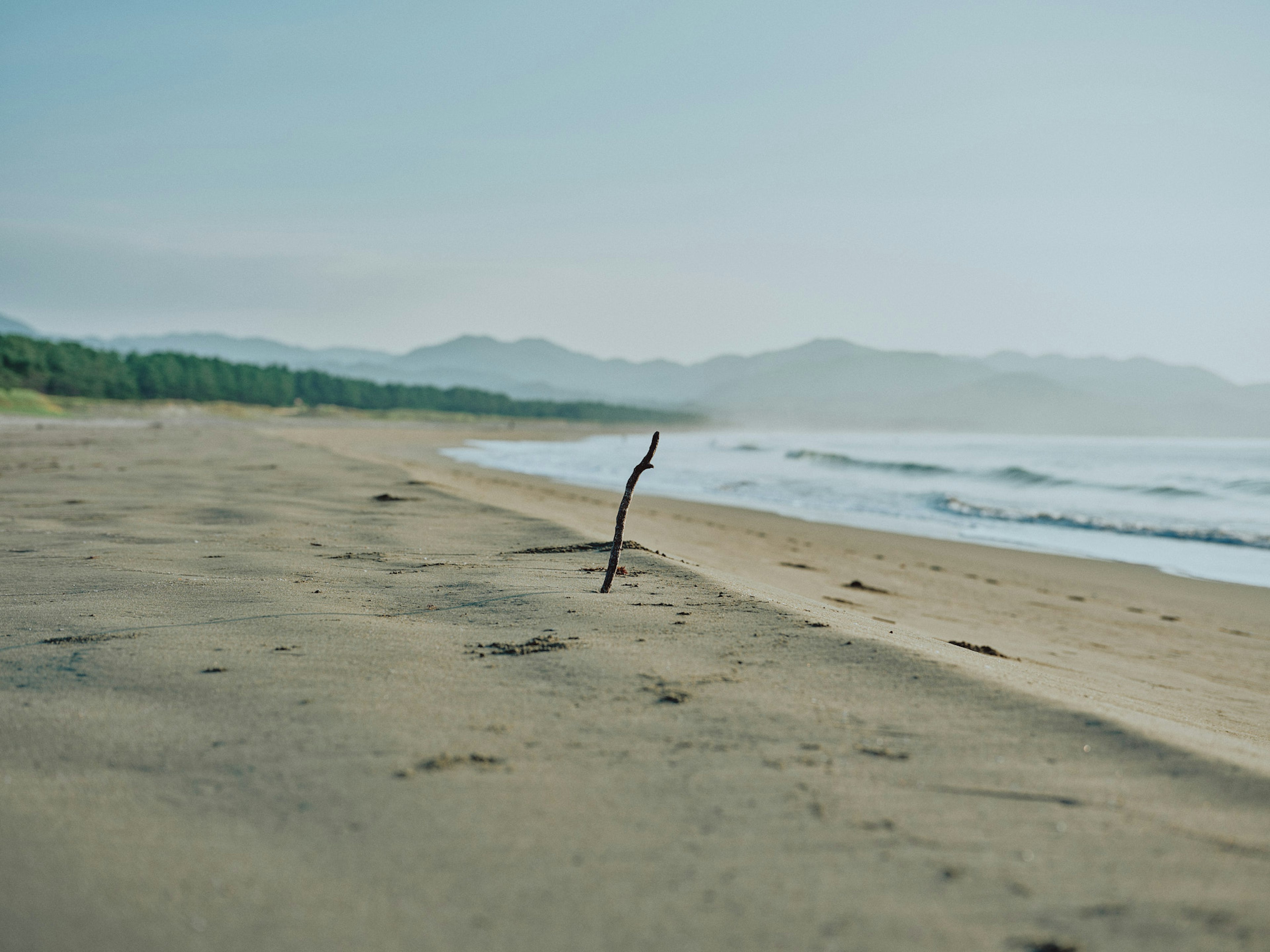 Pemandangan pantai yang tenang dengan sebatang kayu berdiri di pasir dan gunung di kejauhan