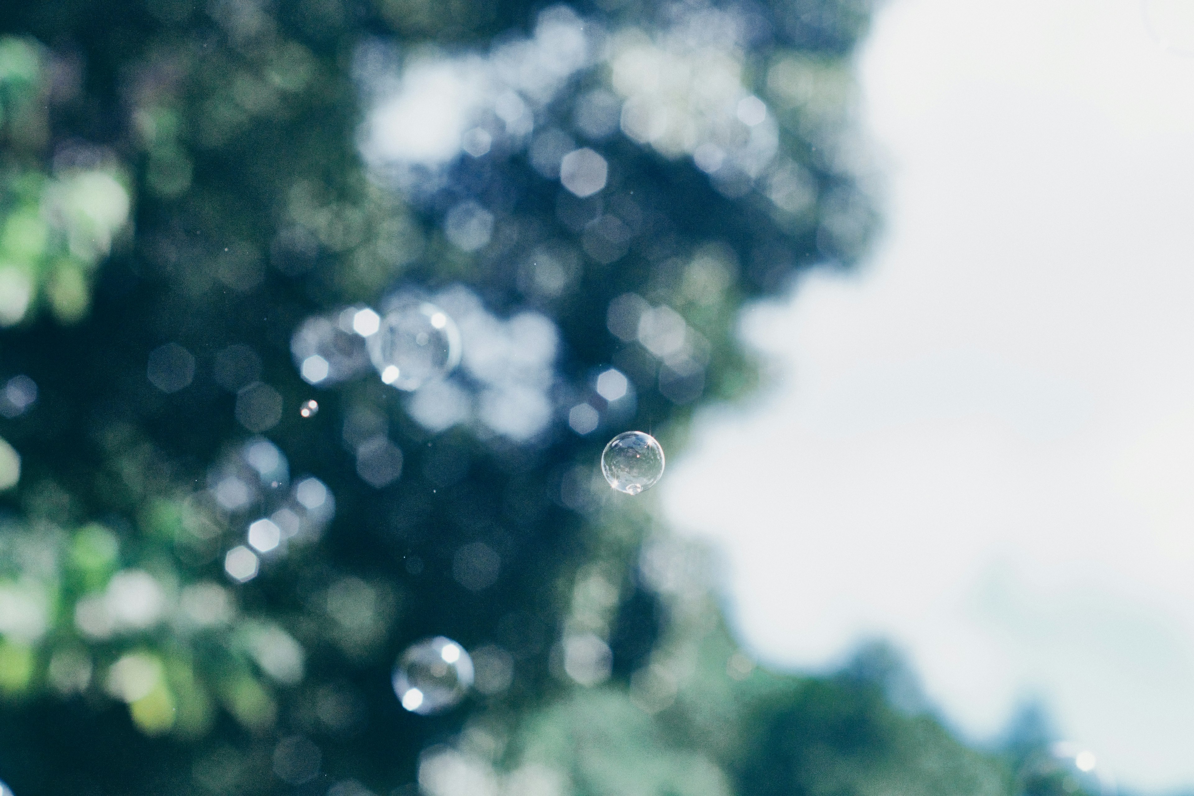 Close-up of bubbles floating against a blurred background