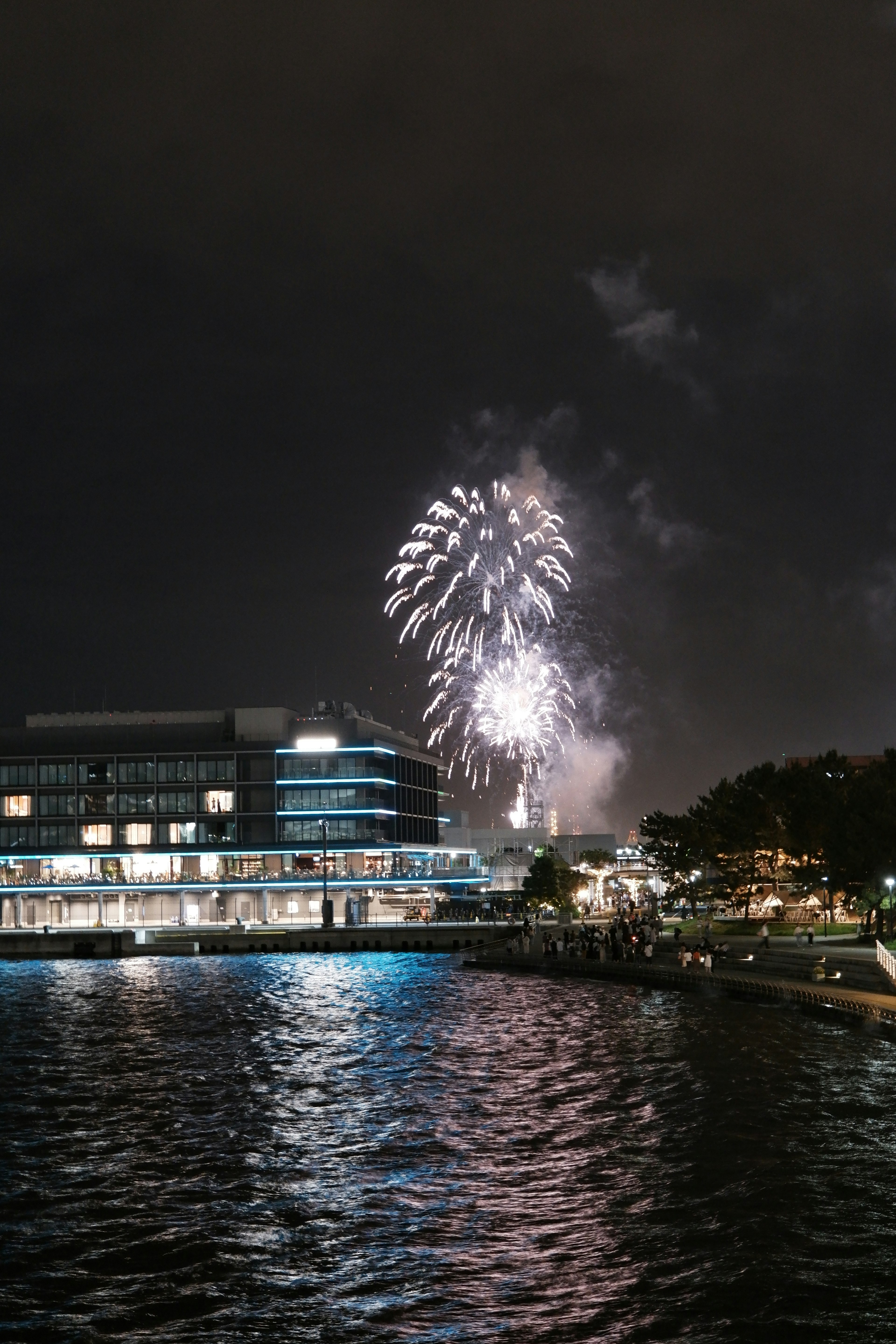 Fireworks lighting up the night sky over a waterfront building