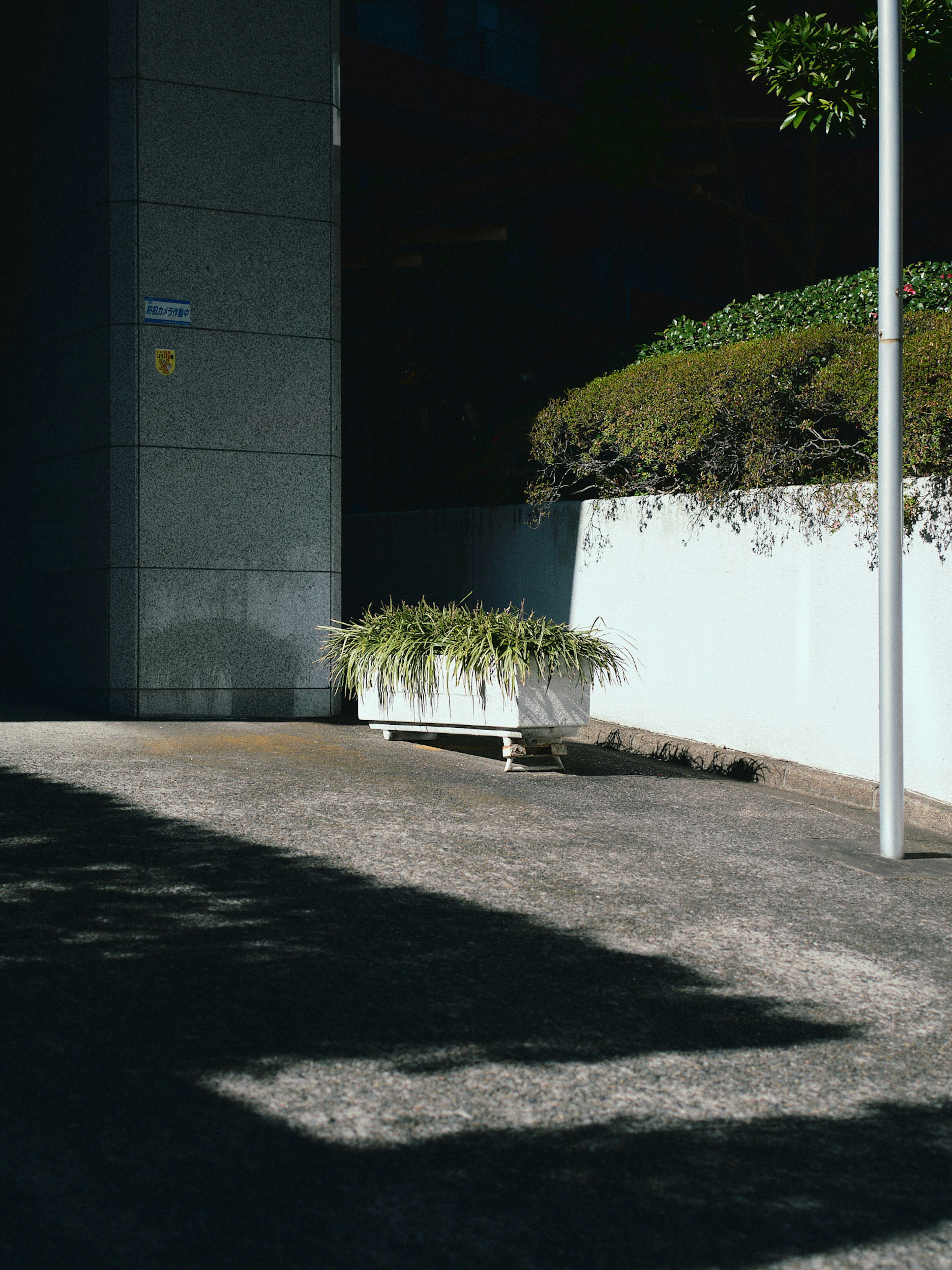 A white planter with green grass beside a modern building