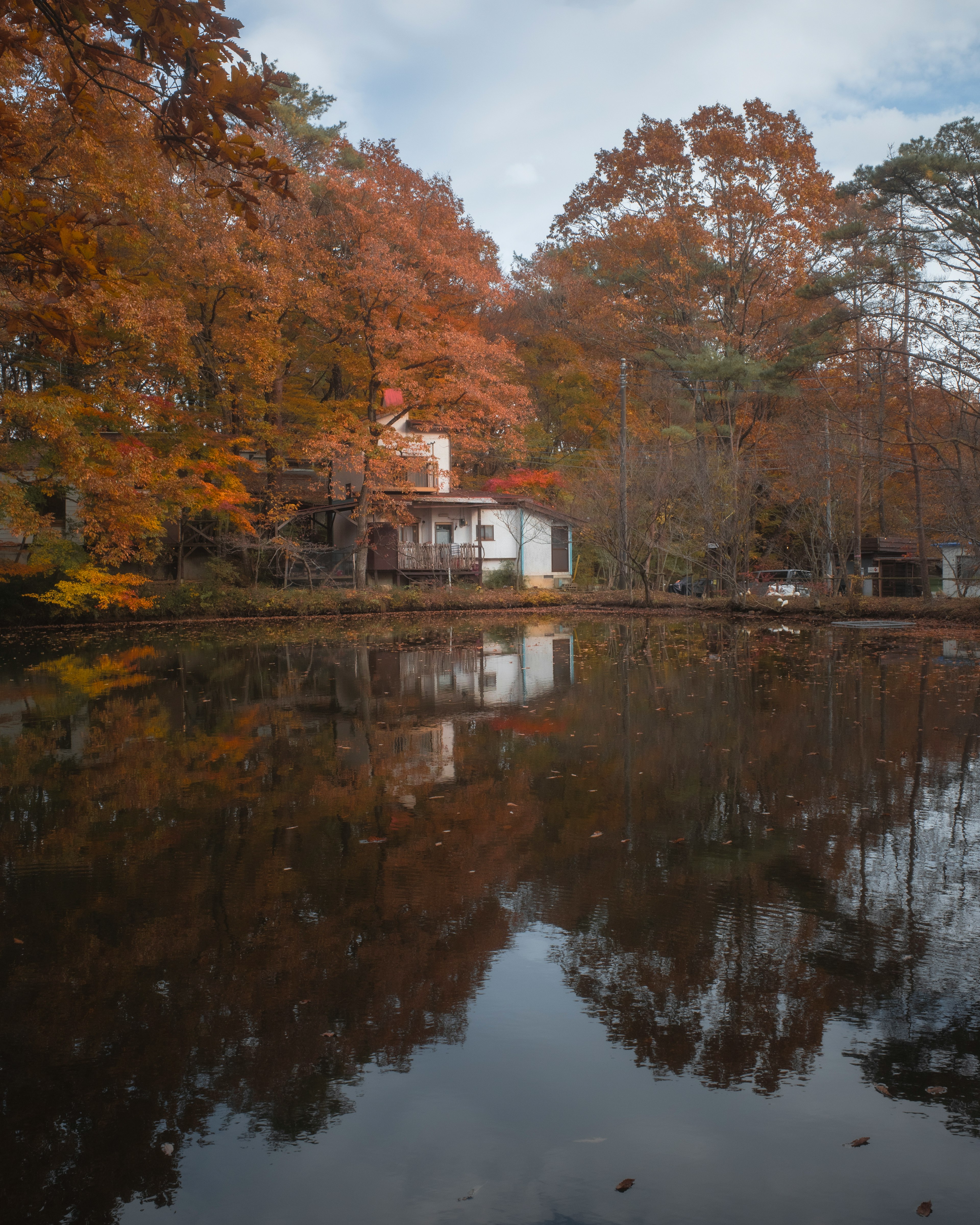 Malersicher Blick auf Herbstbäume, die sich in einem ruhigen Teich spiegeln