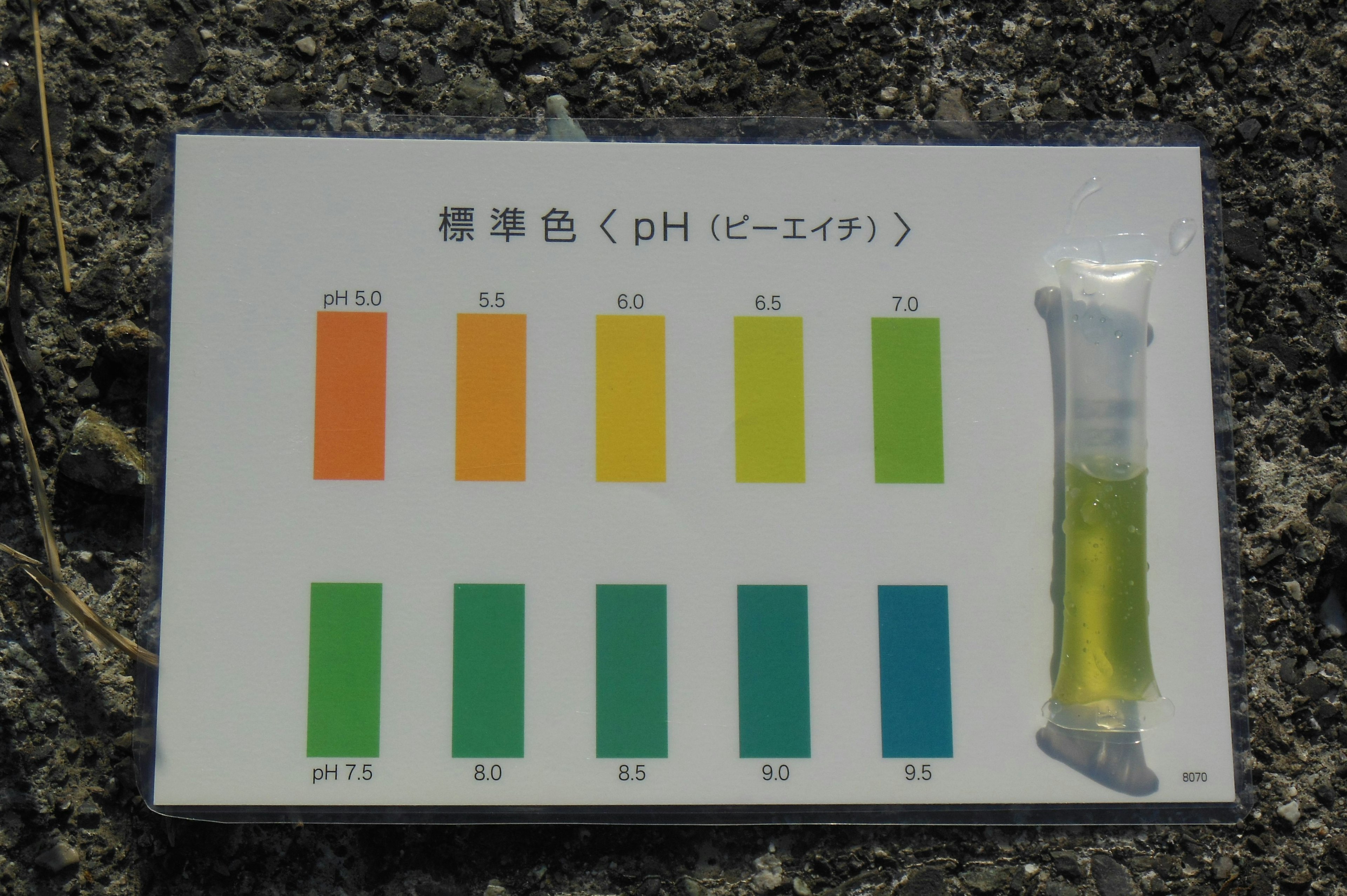 pH testing kit color chart with test tube