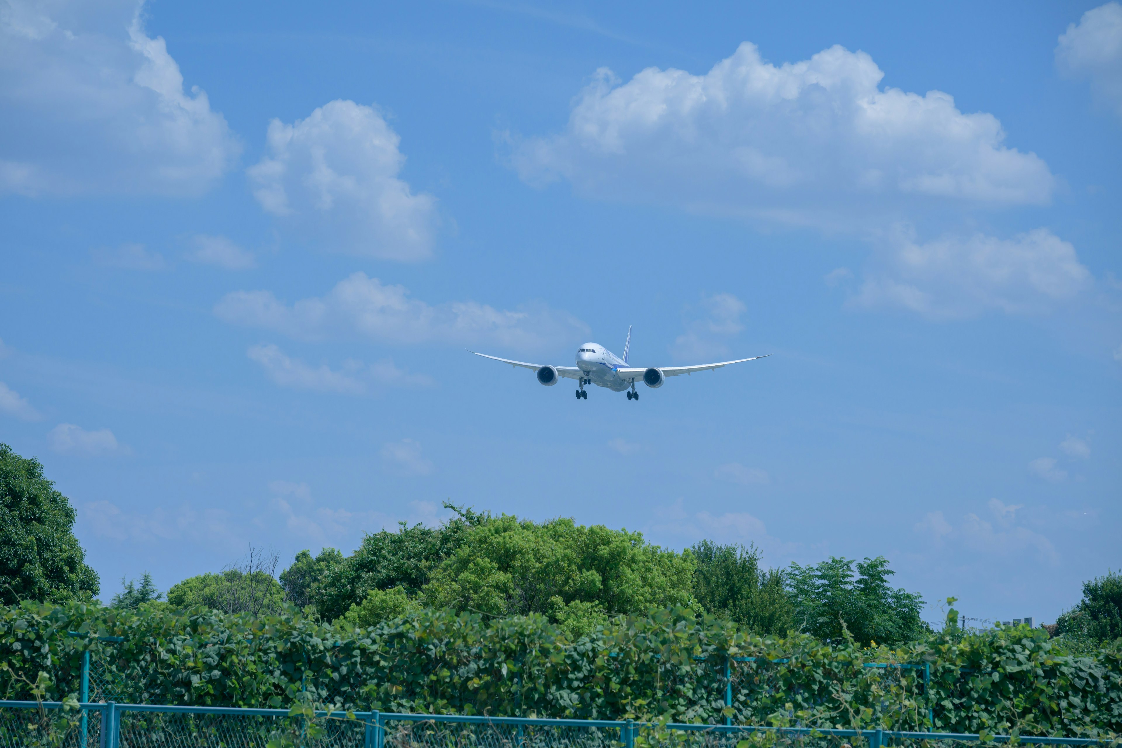 Flugzeug fliegt vor blauem Himmel mit grünen Bäumen darunter