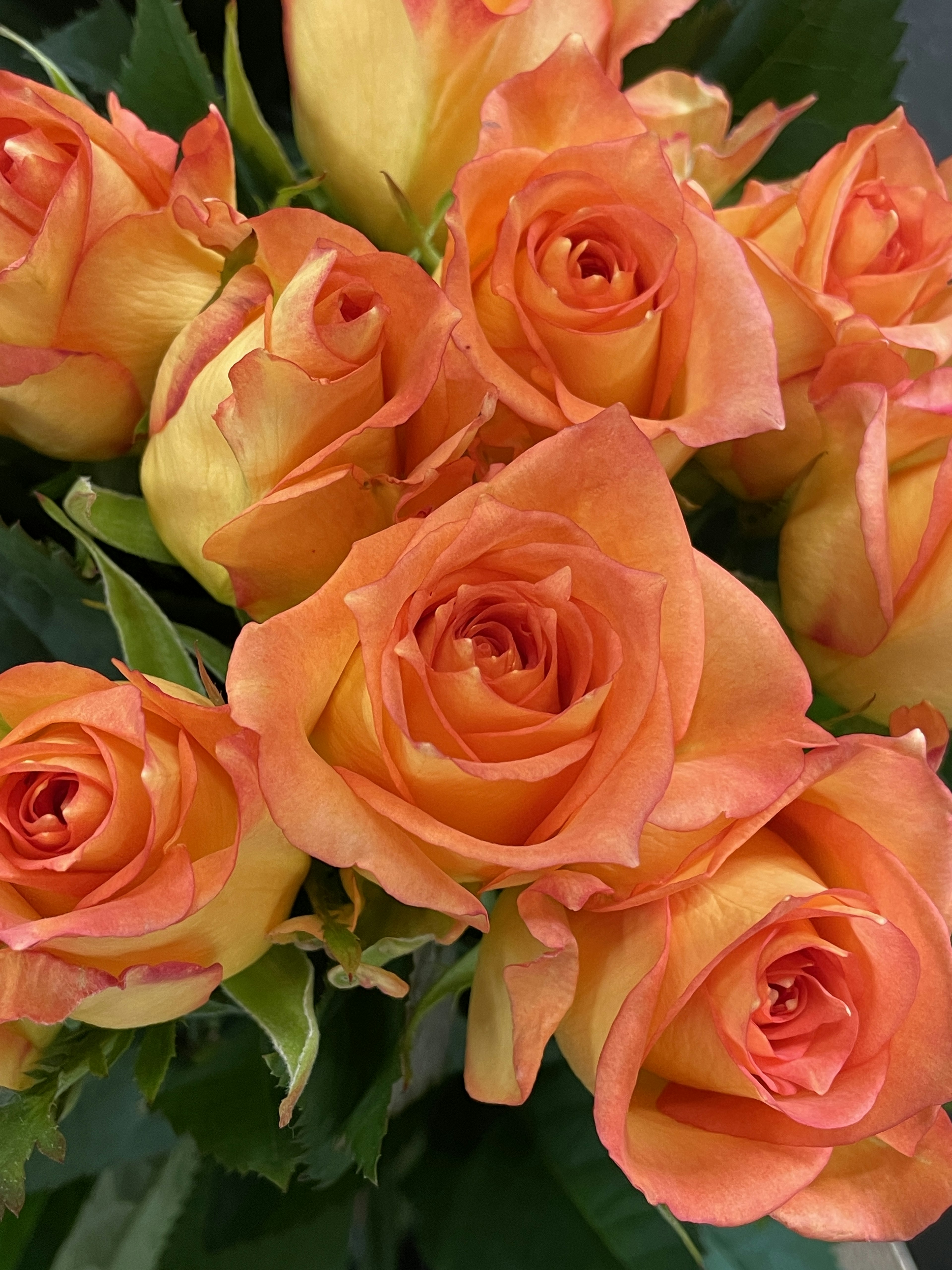 A vibrant bouquet of orange roses in full bloom