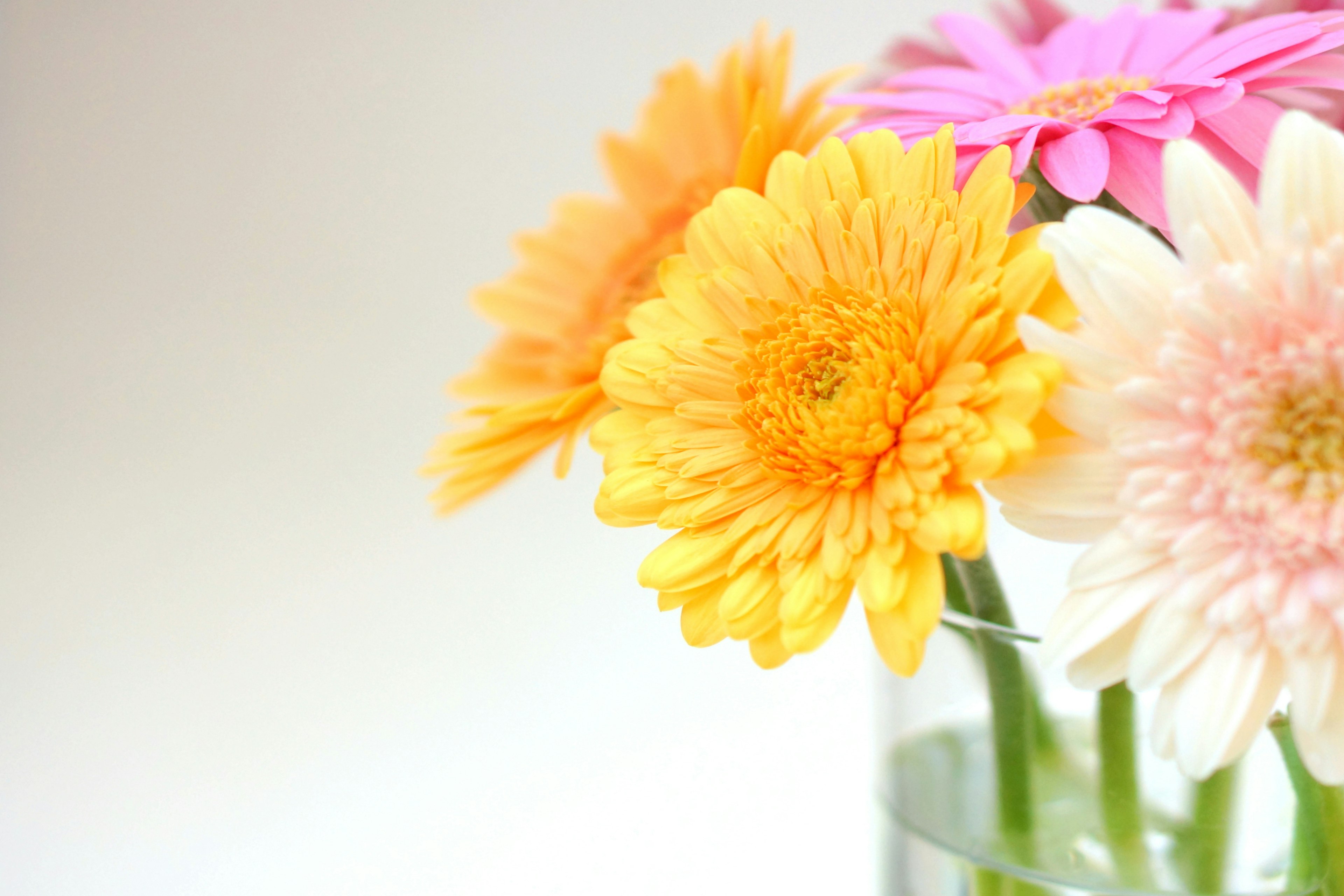 Fiori colorati in un vaso di vetro