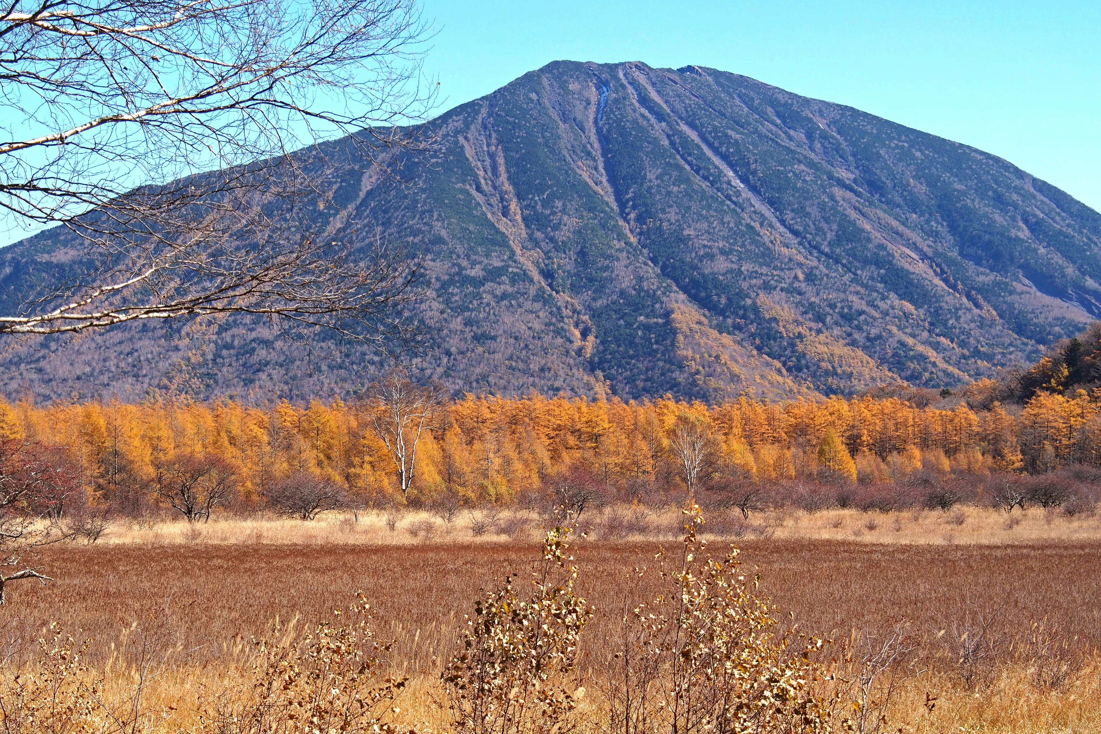 美しい山と秋の色の木々が見える風景