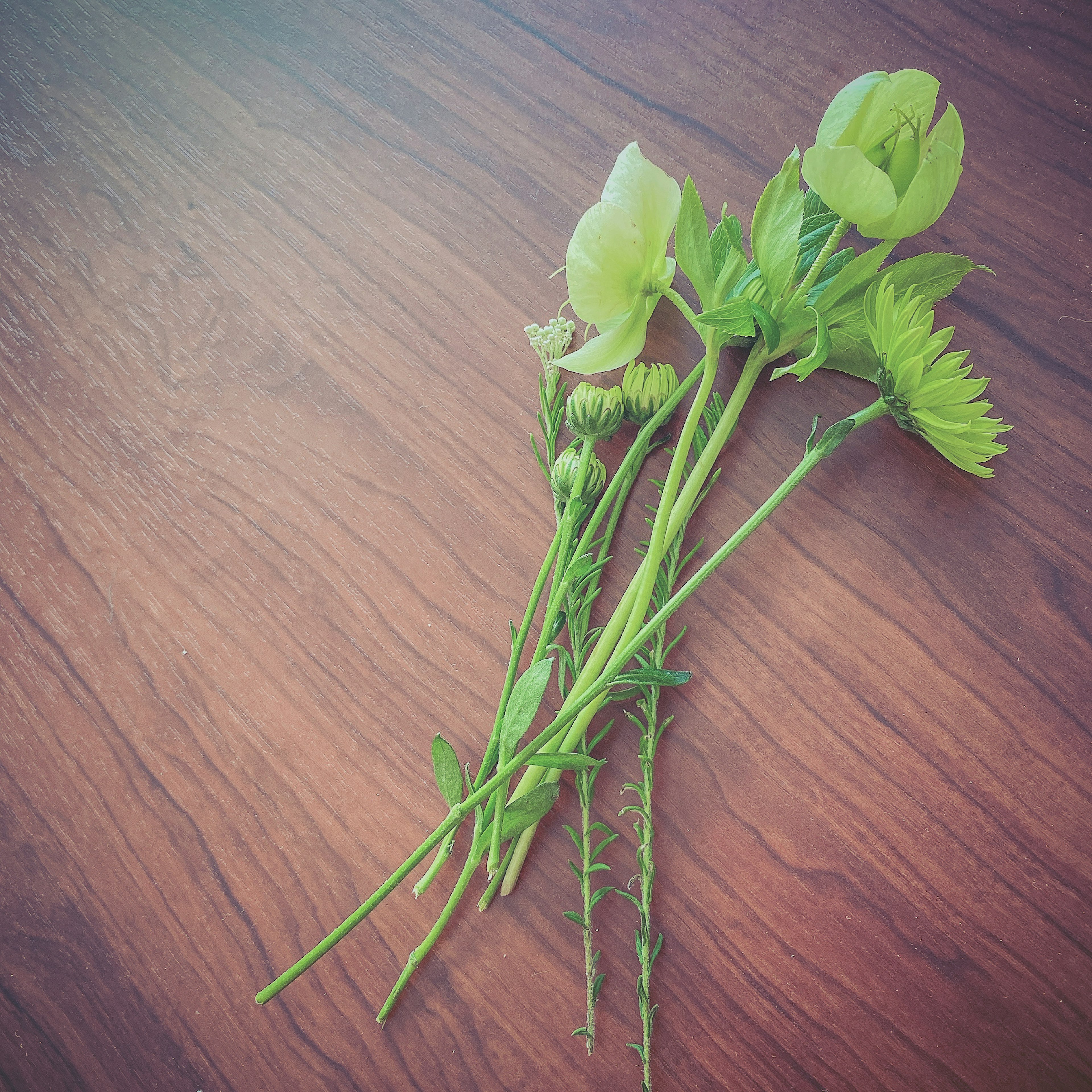 Un ramo de flores verdes sobre una mesa de madera