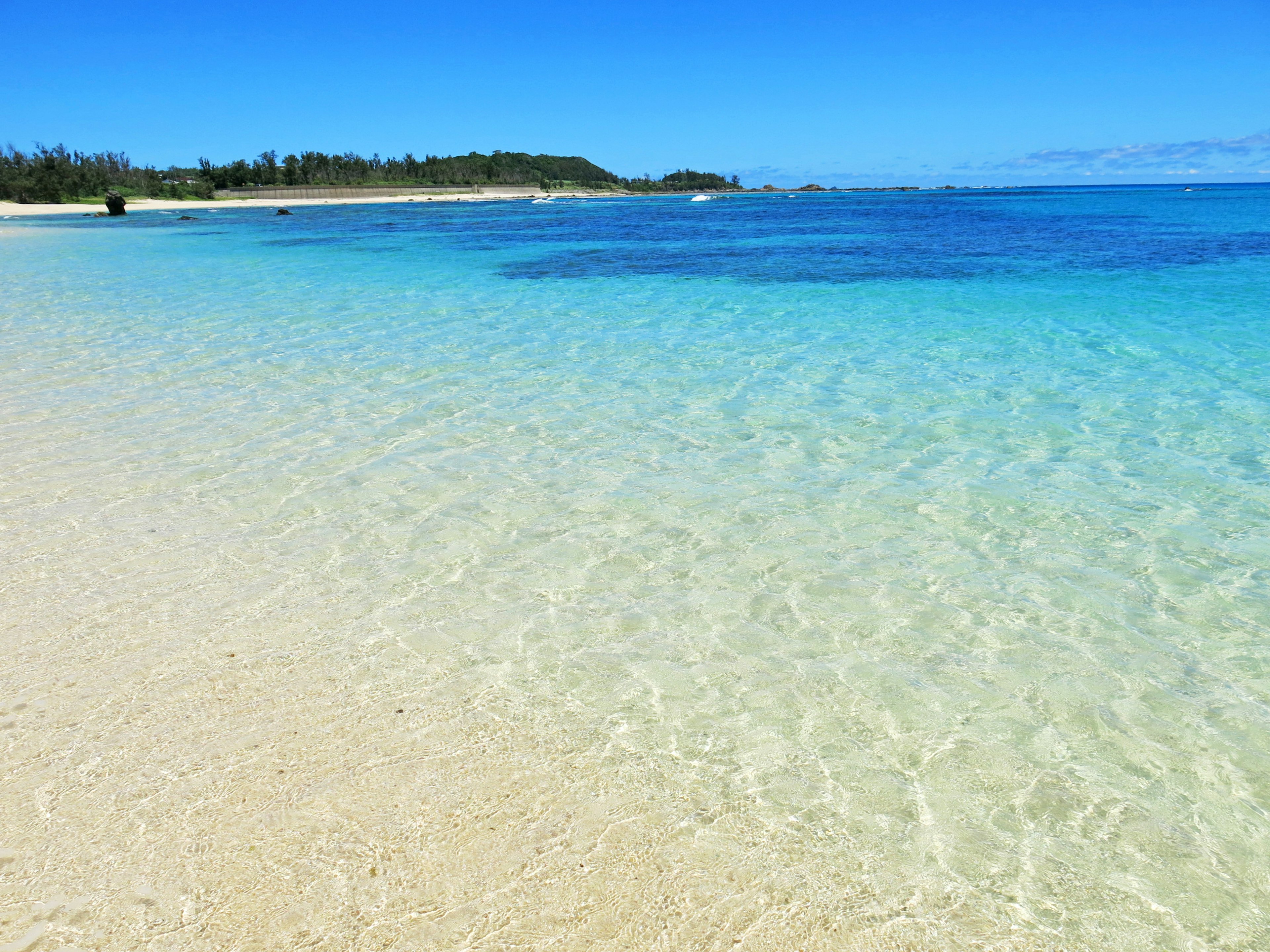 Scène de plage magnifique avec eau bleue et rivage de sable blanc