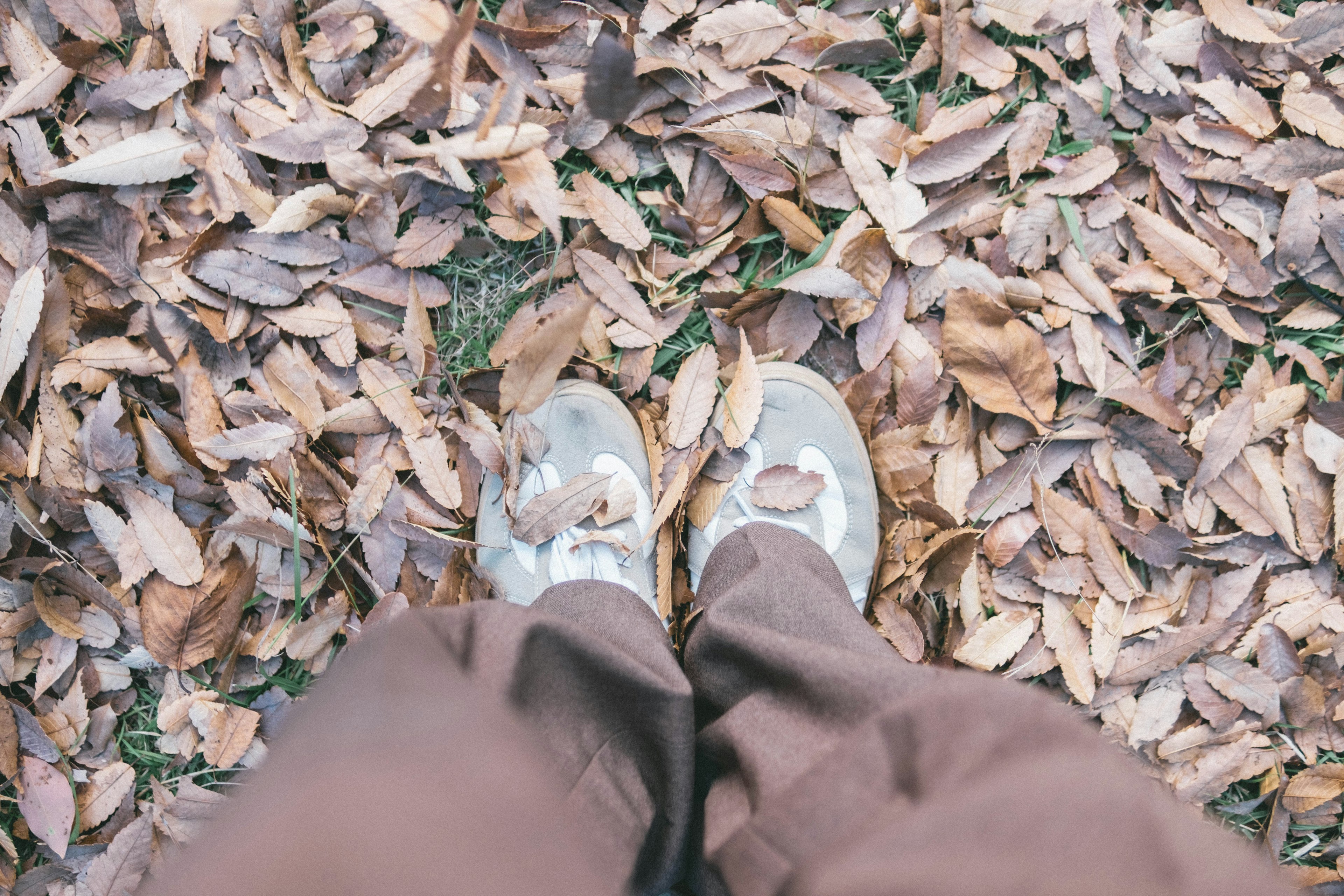 Pieds debout sur un lit de feuilles mortes avec un pantalon marron