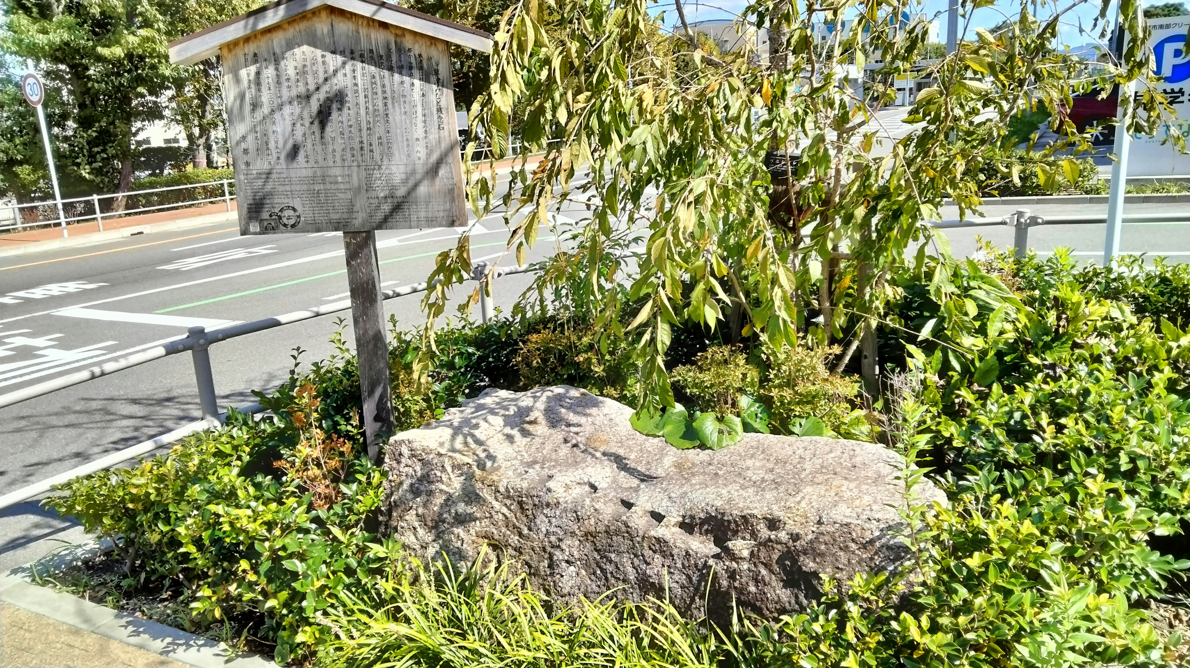 Landschaft mit einem Stein und üppigem Grün neben einem Straßenschild