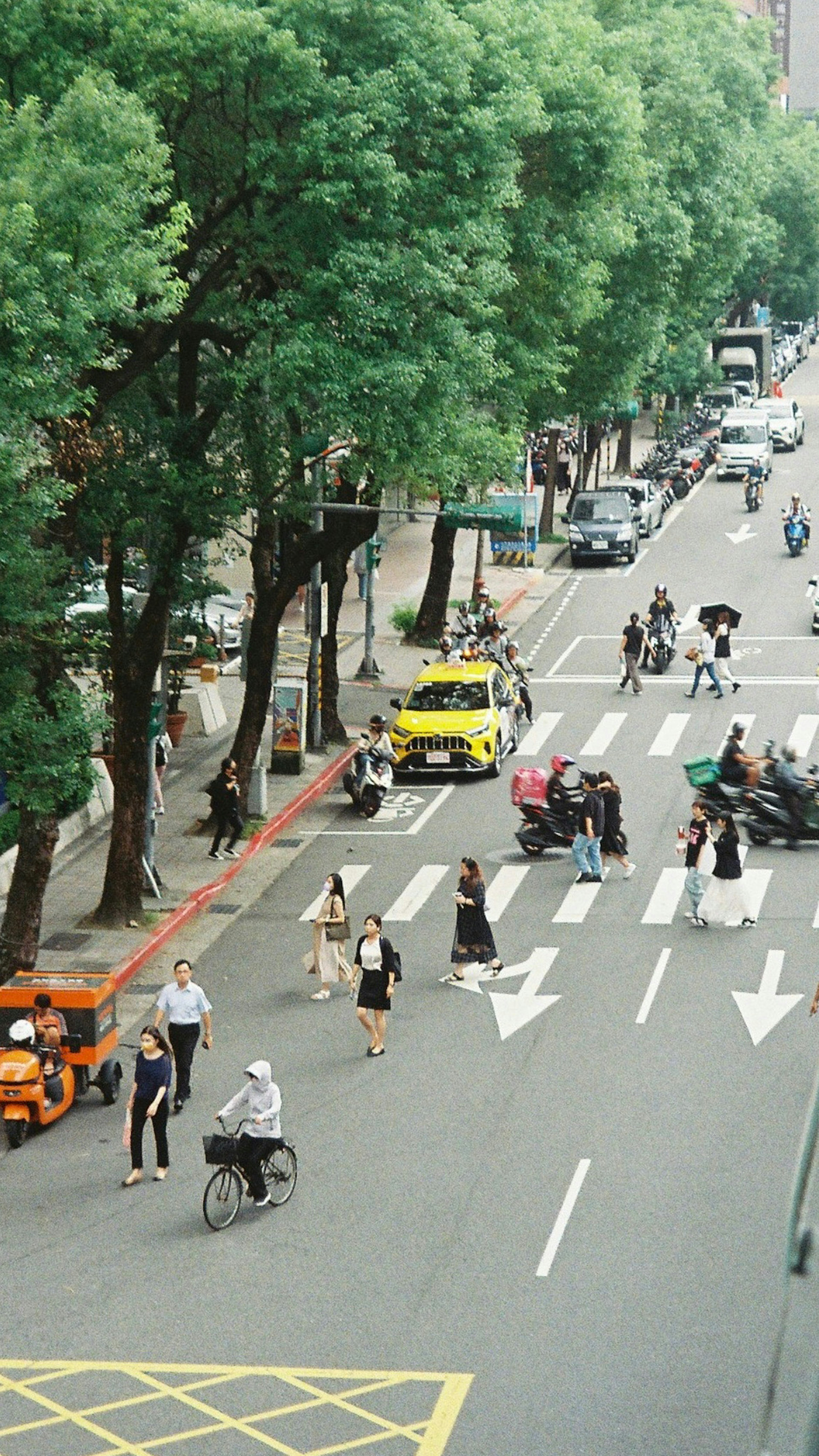 Una escena de calle que captura el tráfico y a las personas Grandes árboles a lo largo de la carretera Vehículos y peatones intersectando