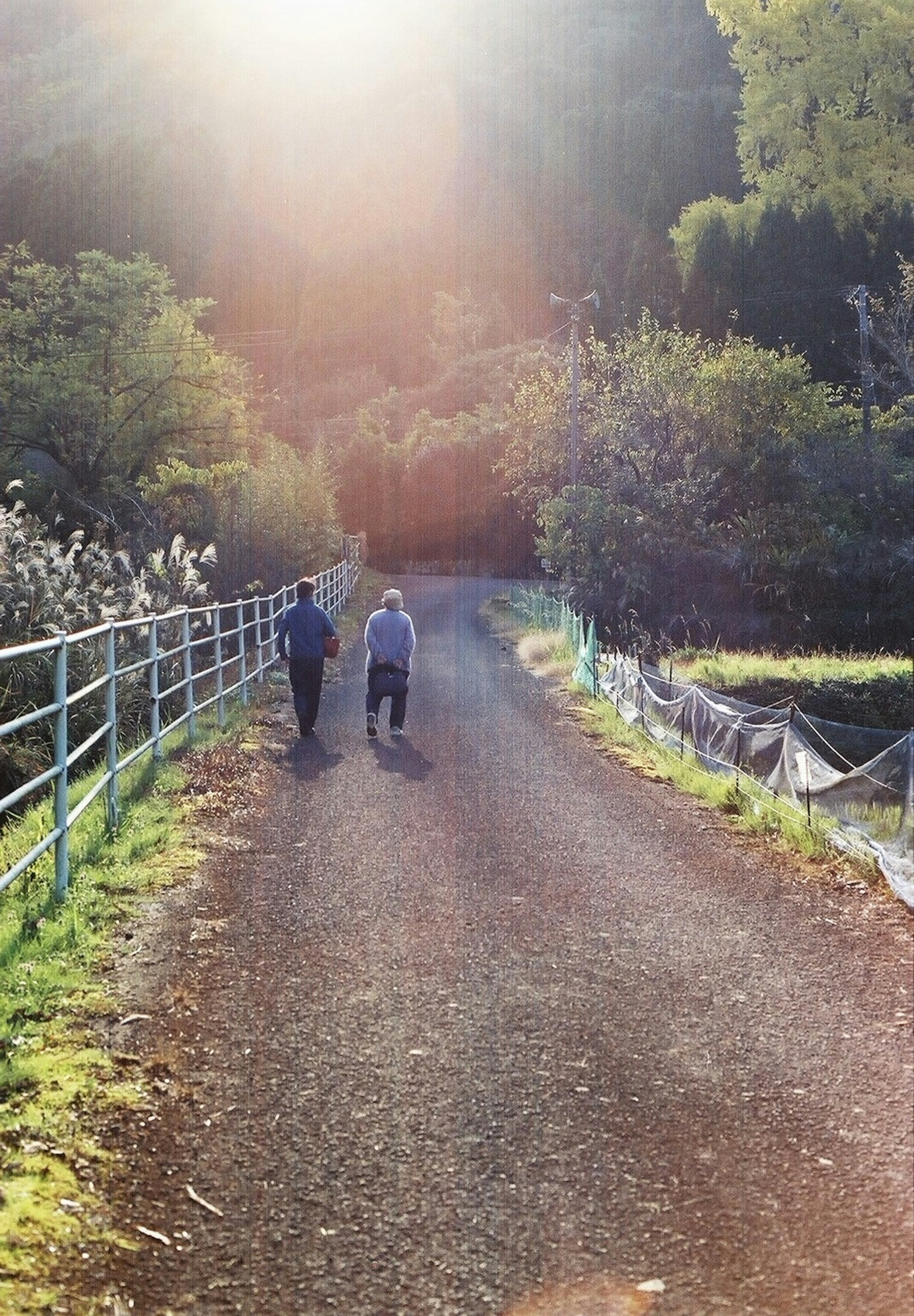 Two individuals walking along a path in a forested area