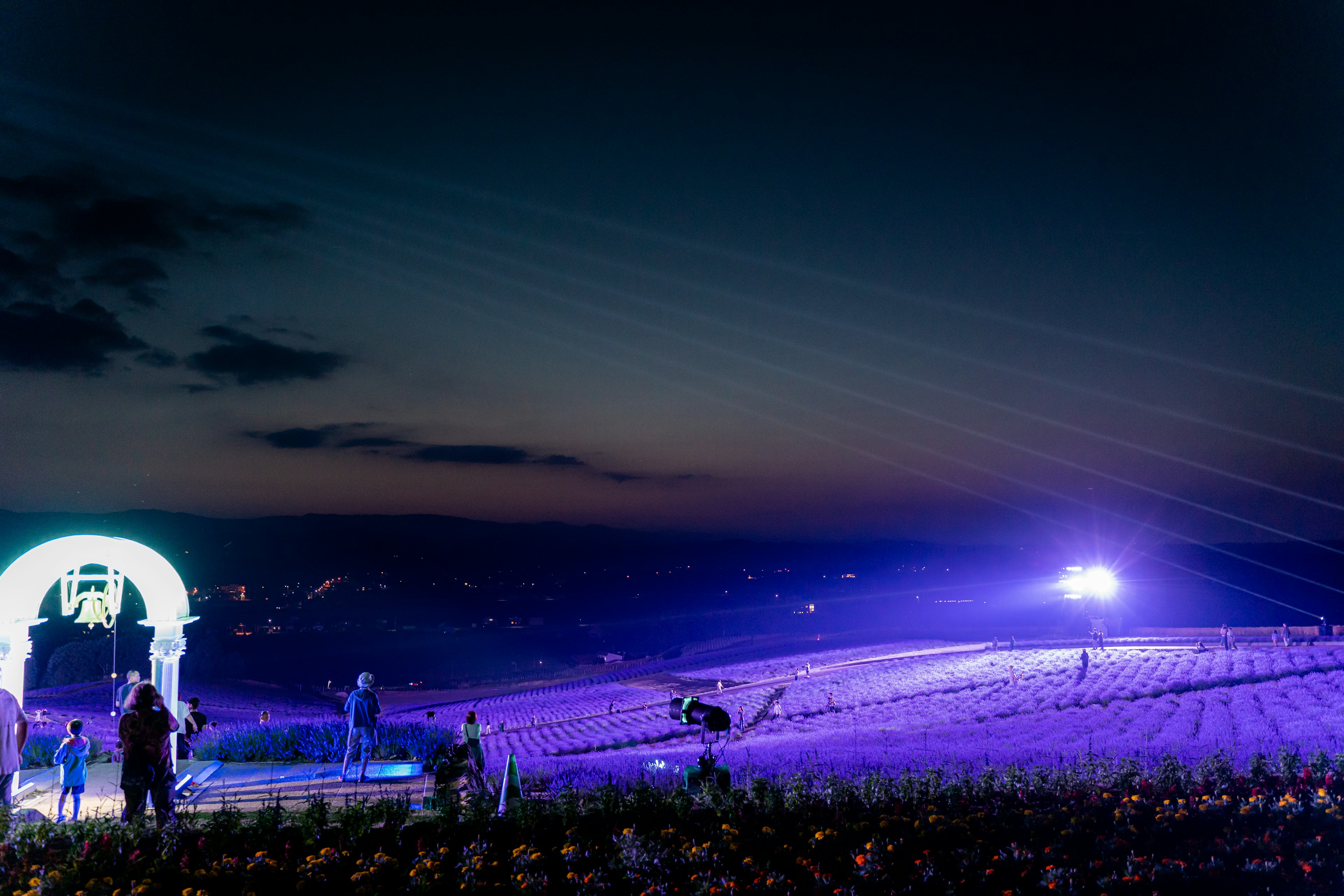 Paesaggio di un luogo di evento sotto il cielo notturno con luci viola e persone